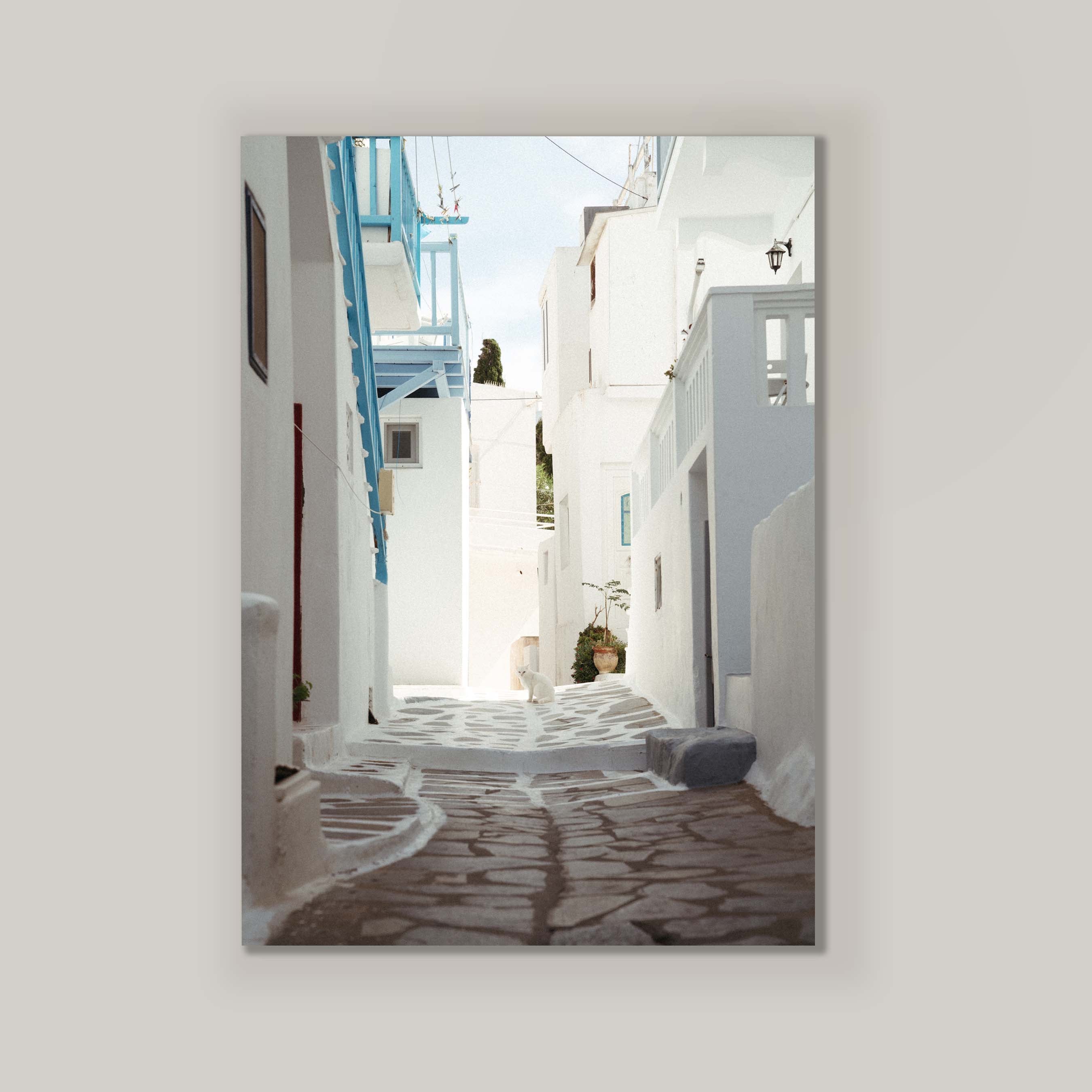 Alley Cat