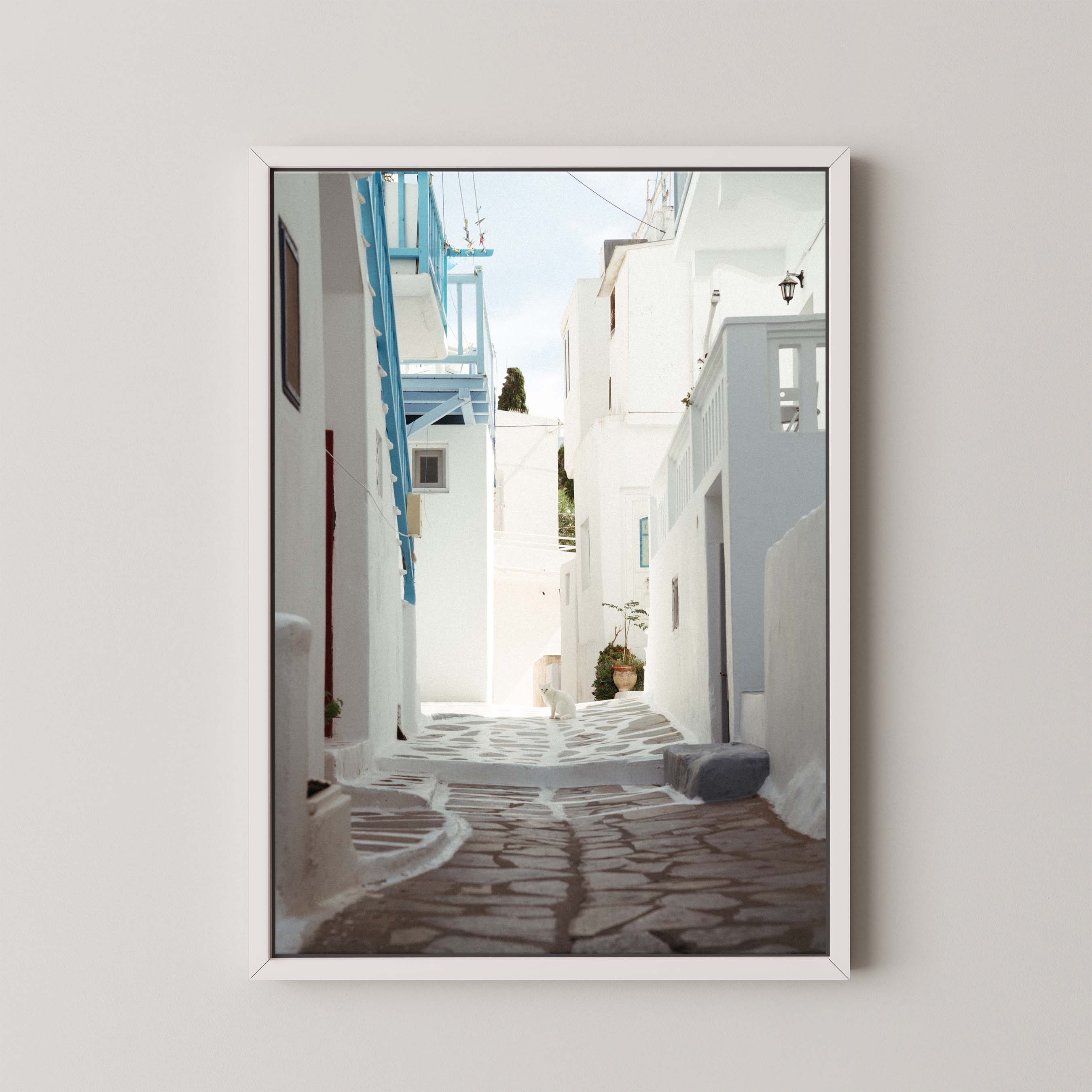 Alley Cat
