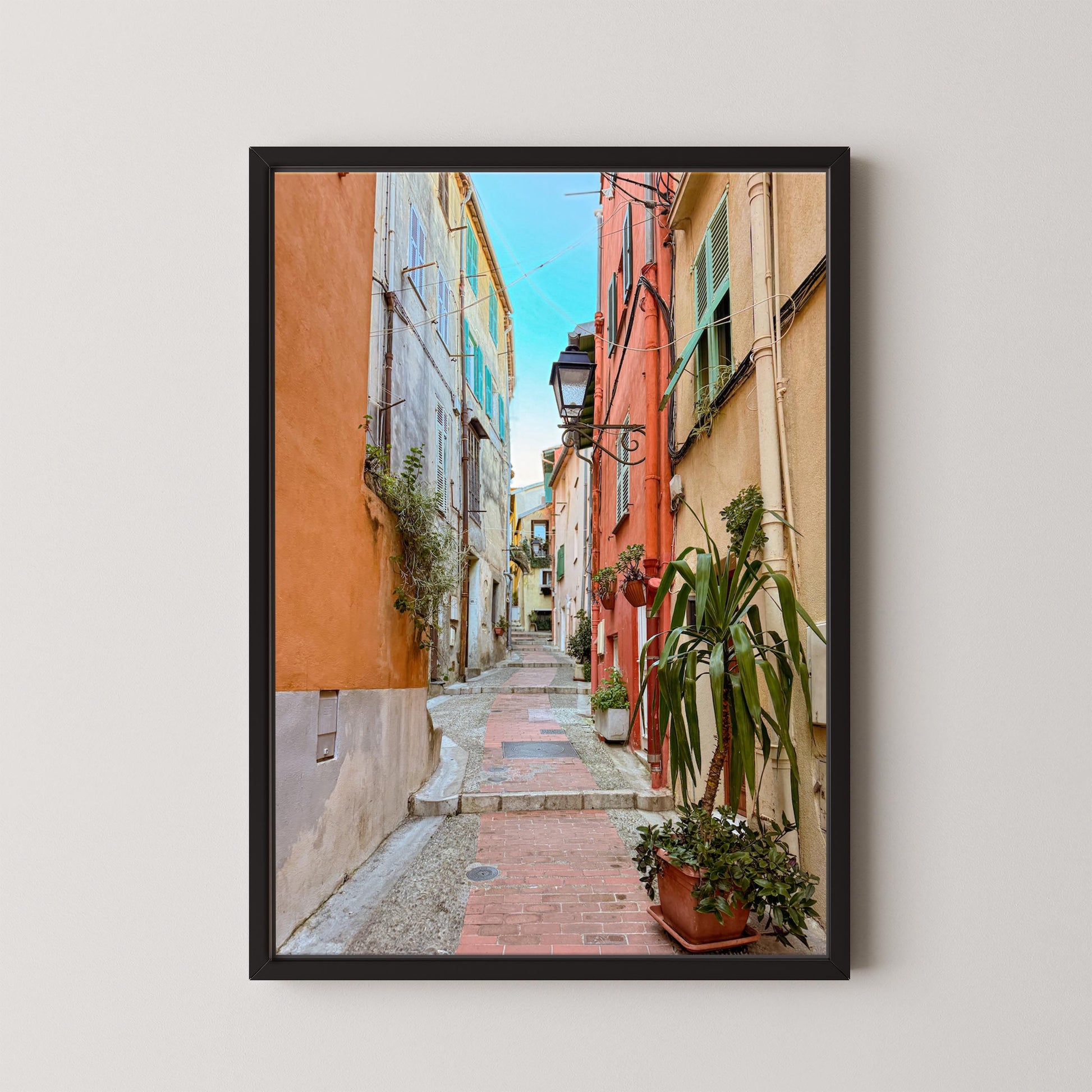 Framed photograph of a narrow alleyway with colorful buildings and plants.