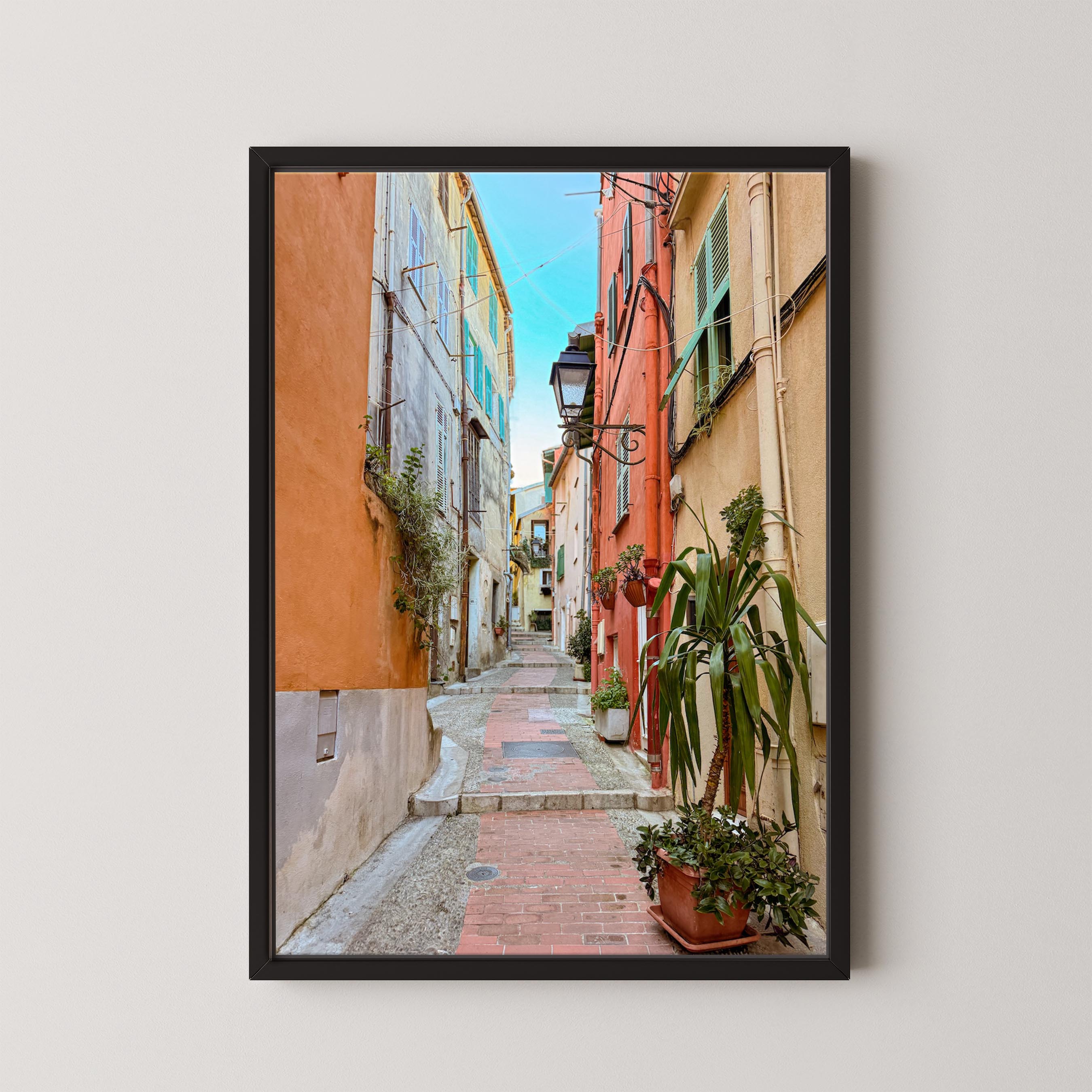 Framed photograph of a narrow alleyway with colorful buildings and plants.