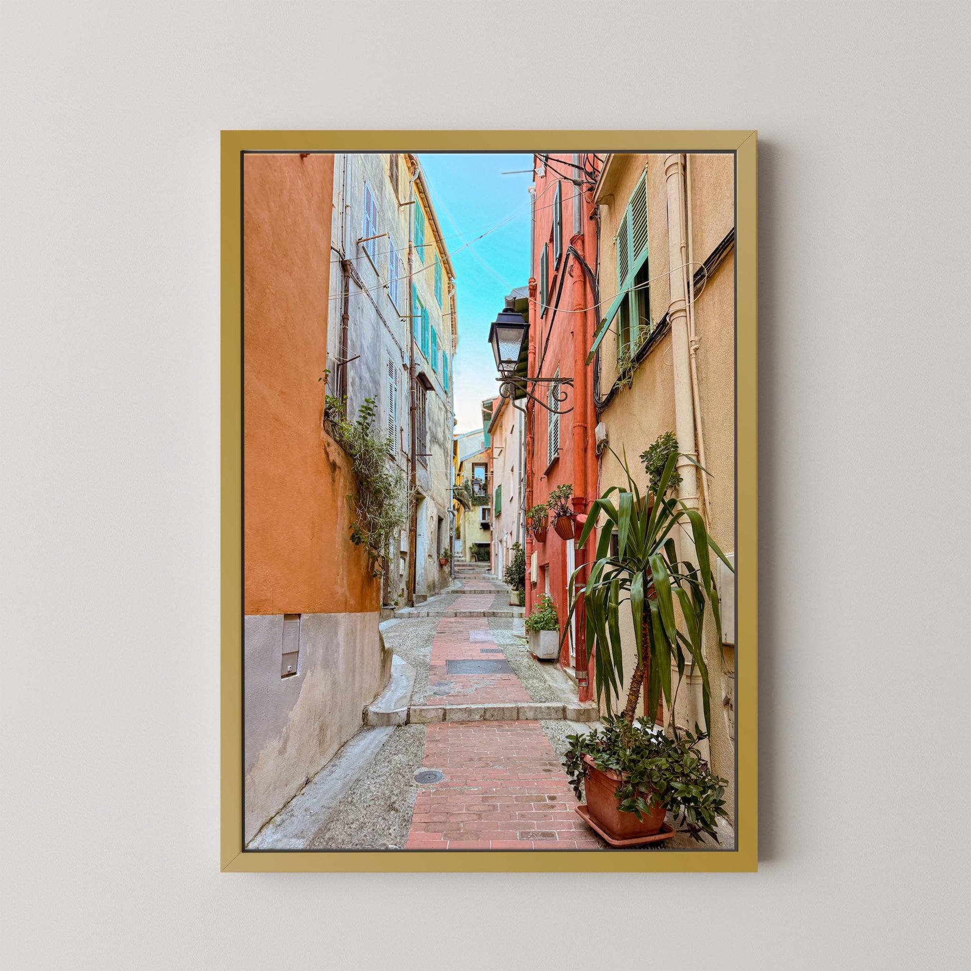 Framed photograph of a colorful alleyway with plants on a white wall
