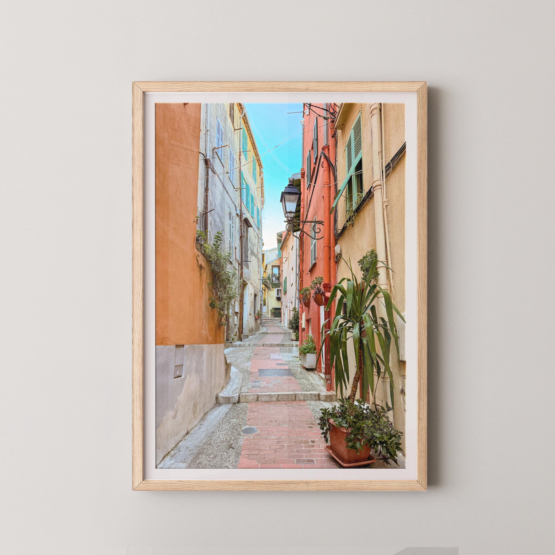 Framed photograph of a colorful alleyway with plants on a light gray wall