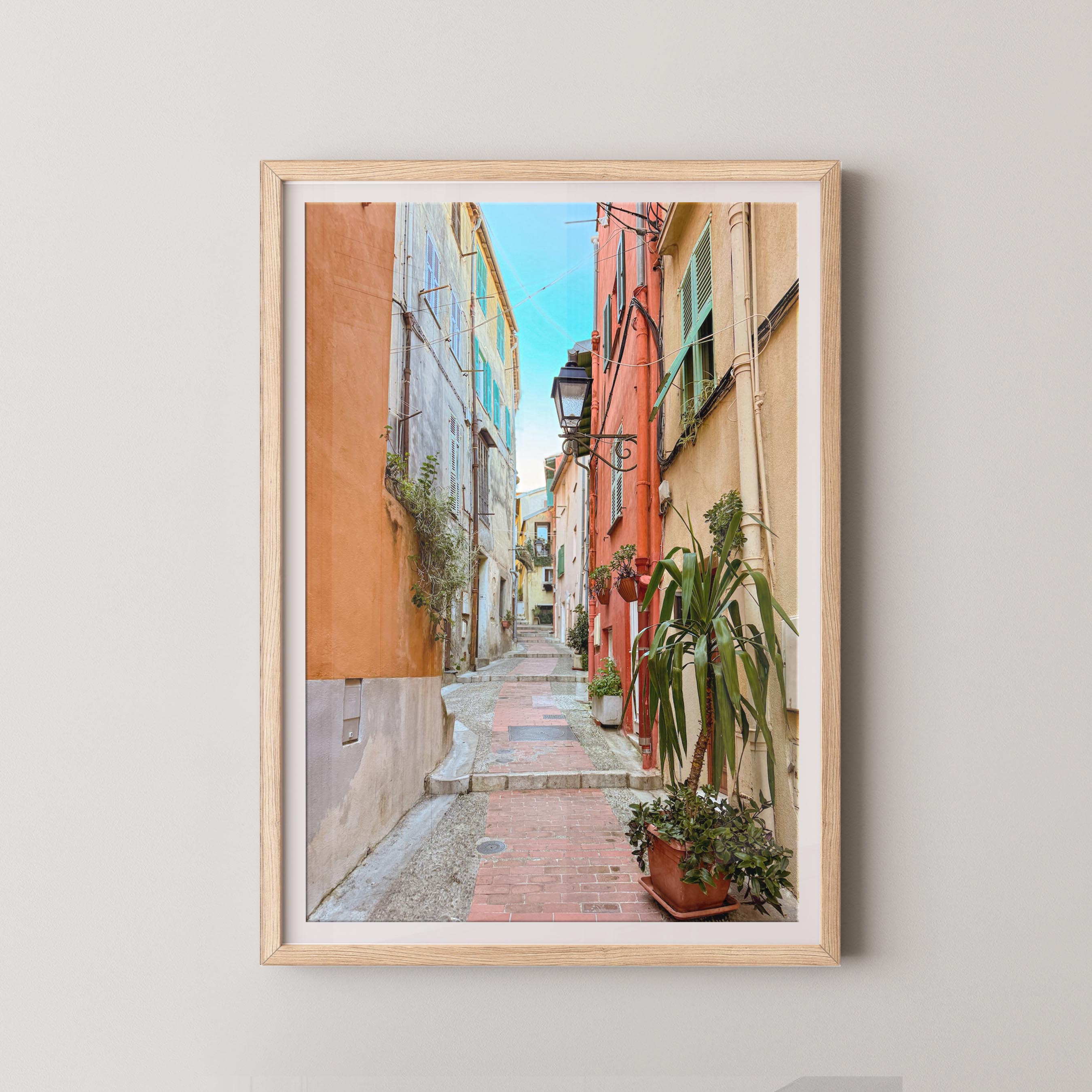Framed photograph of a colorful alleyway with plants on a light gray wall