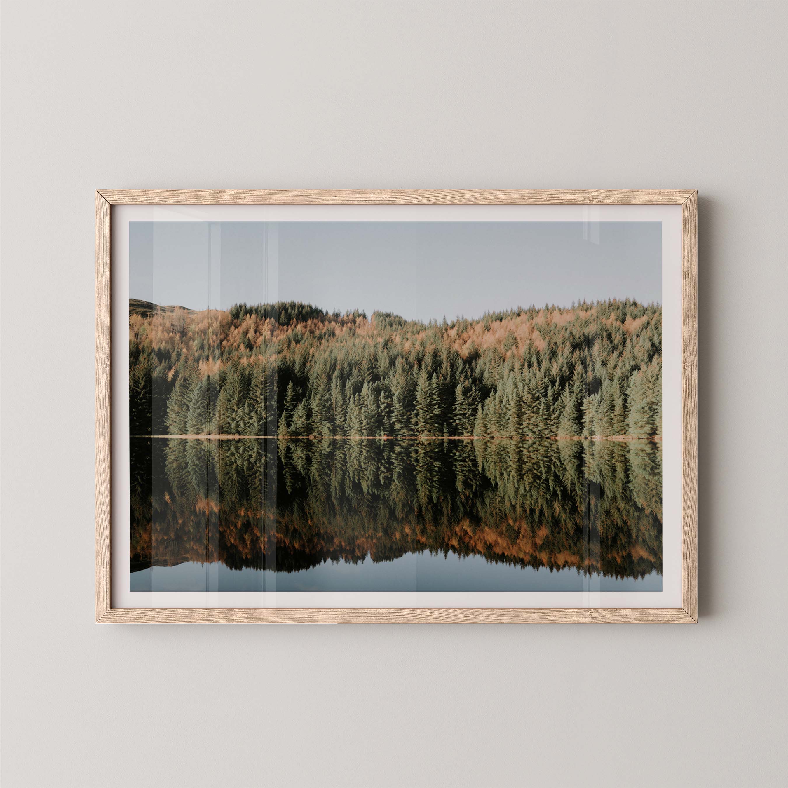 Autumn Reflections