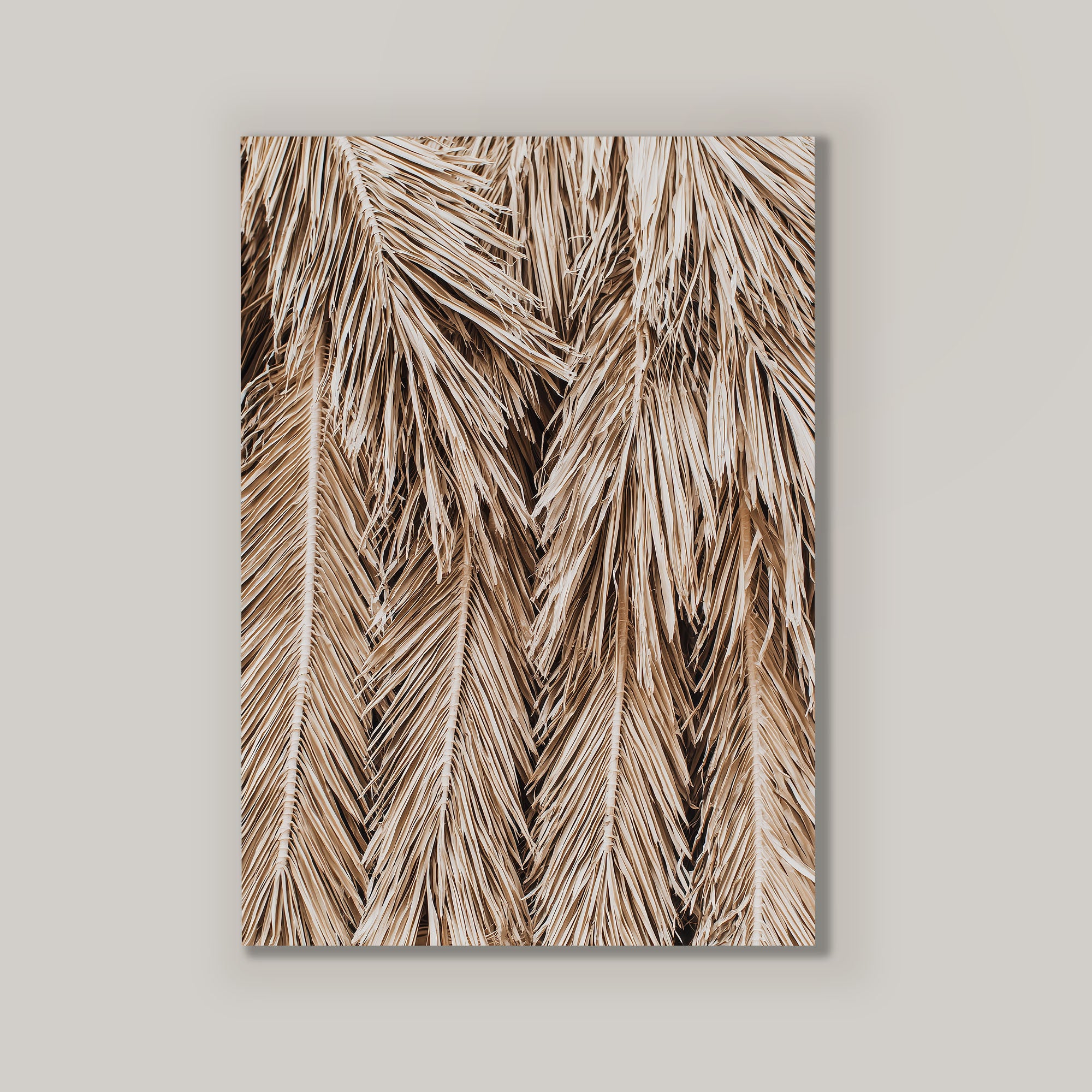 Beige Fronds III