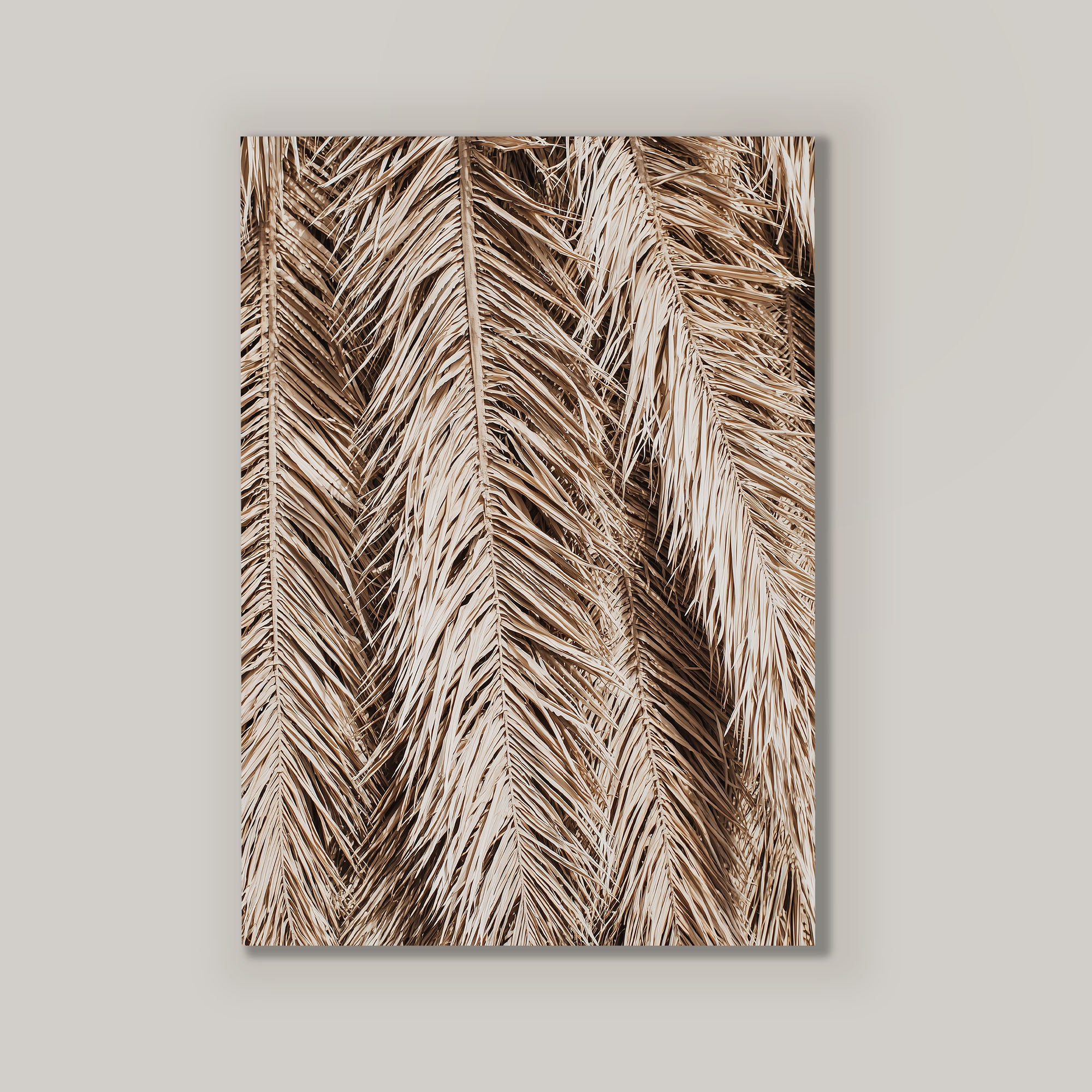 Beige Fronds II
