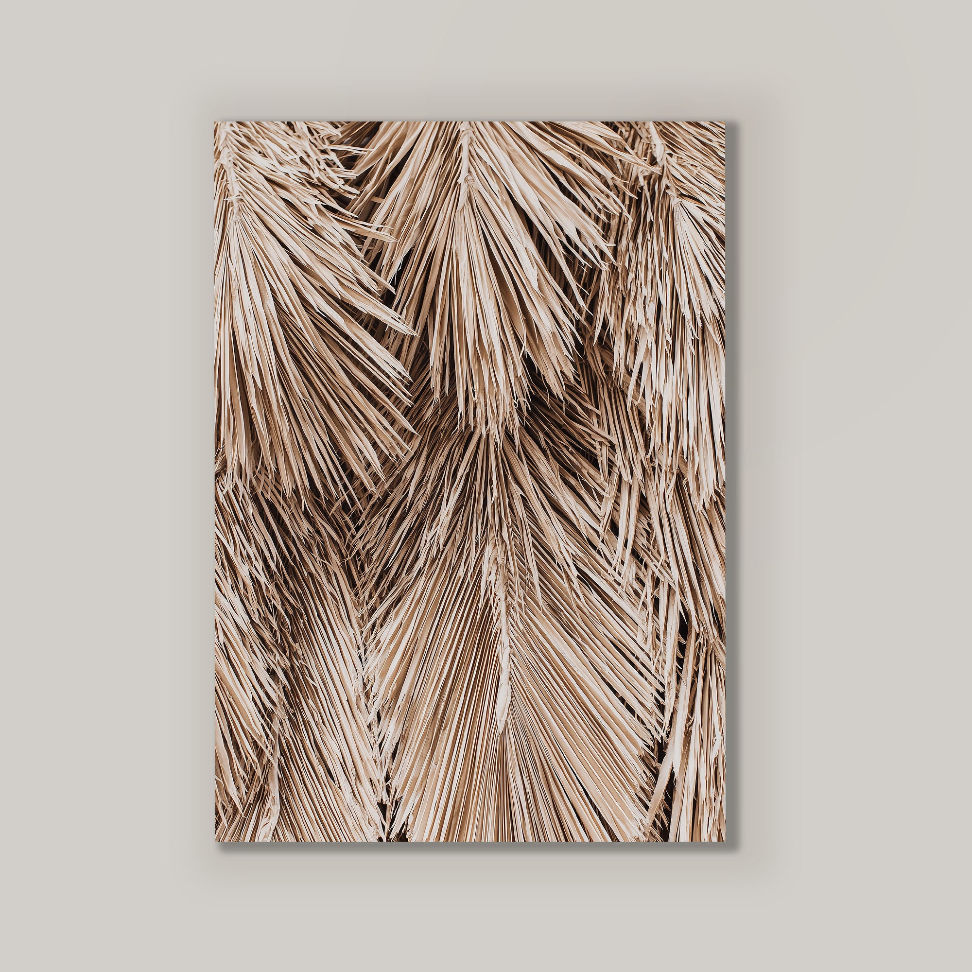 Beige Fronds I