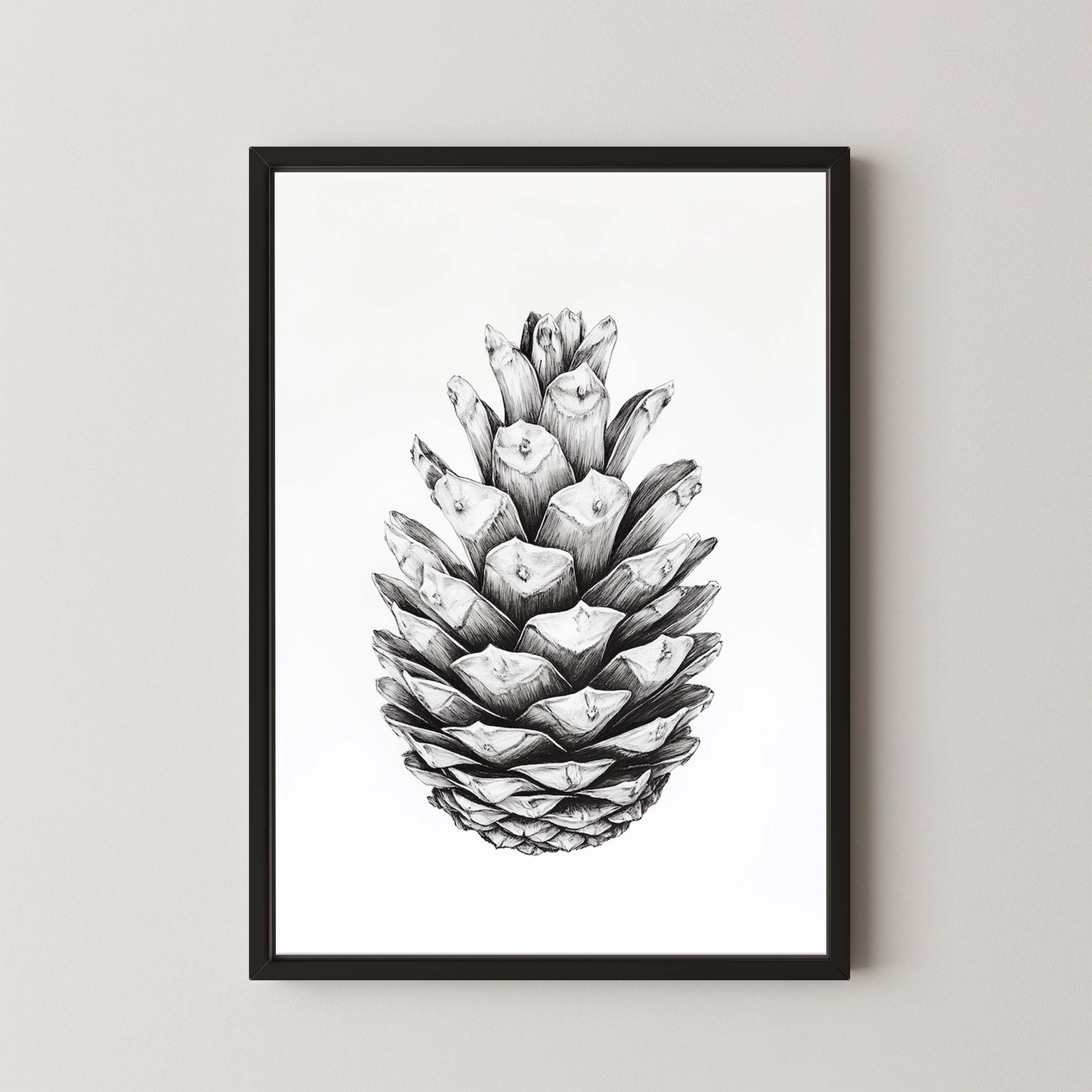 Cone II