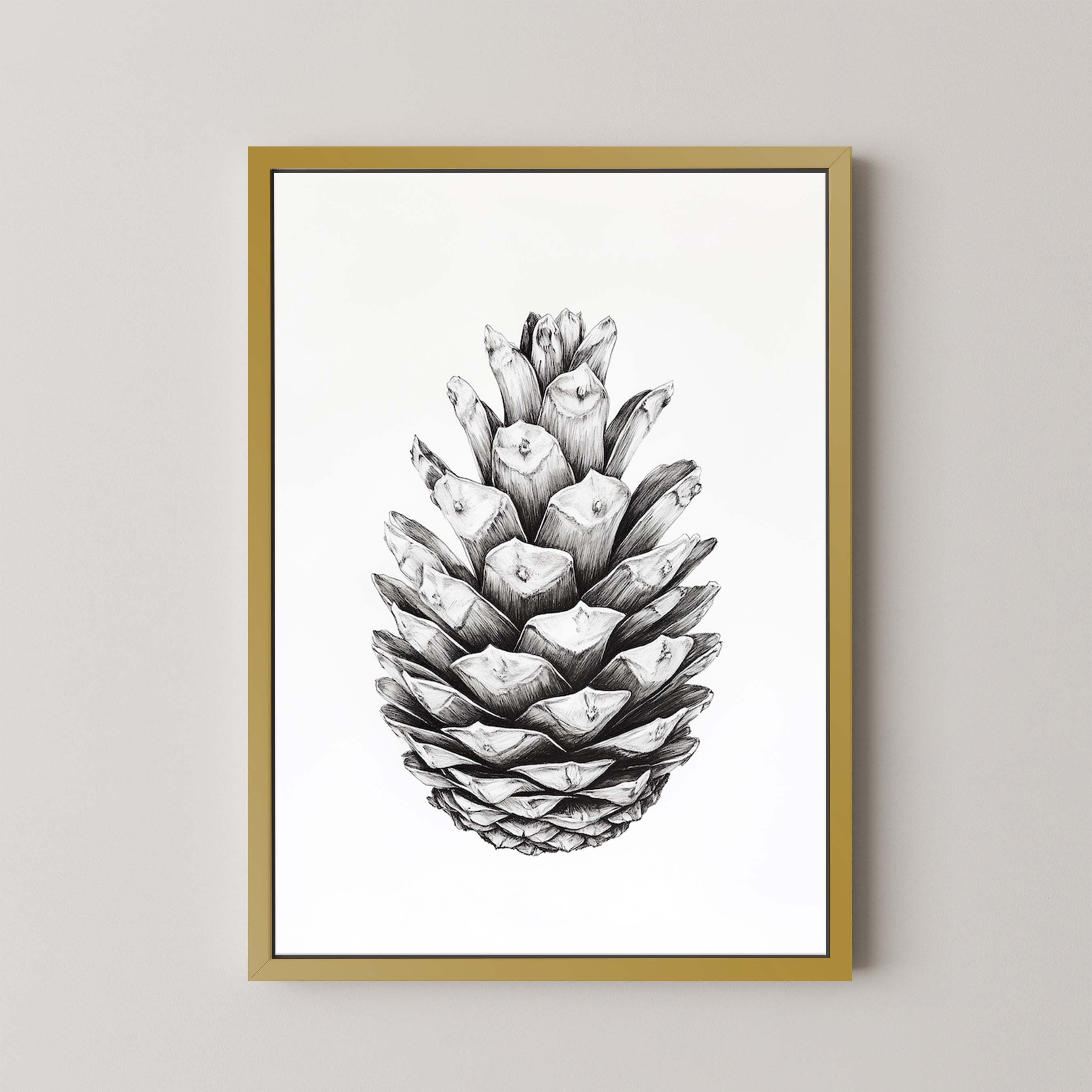 Cone II