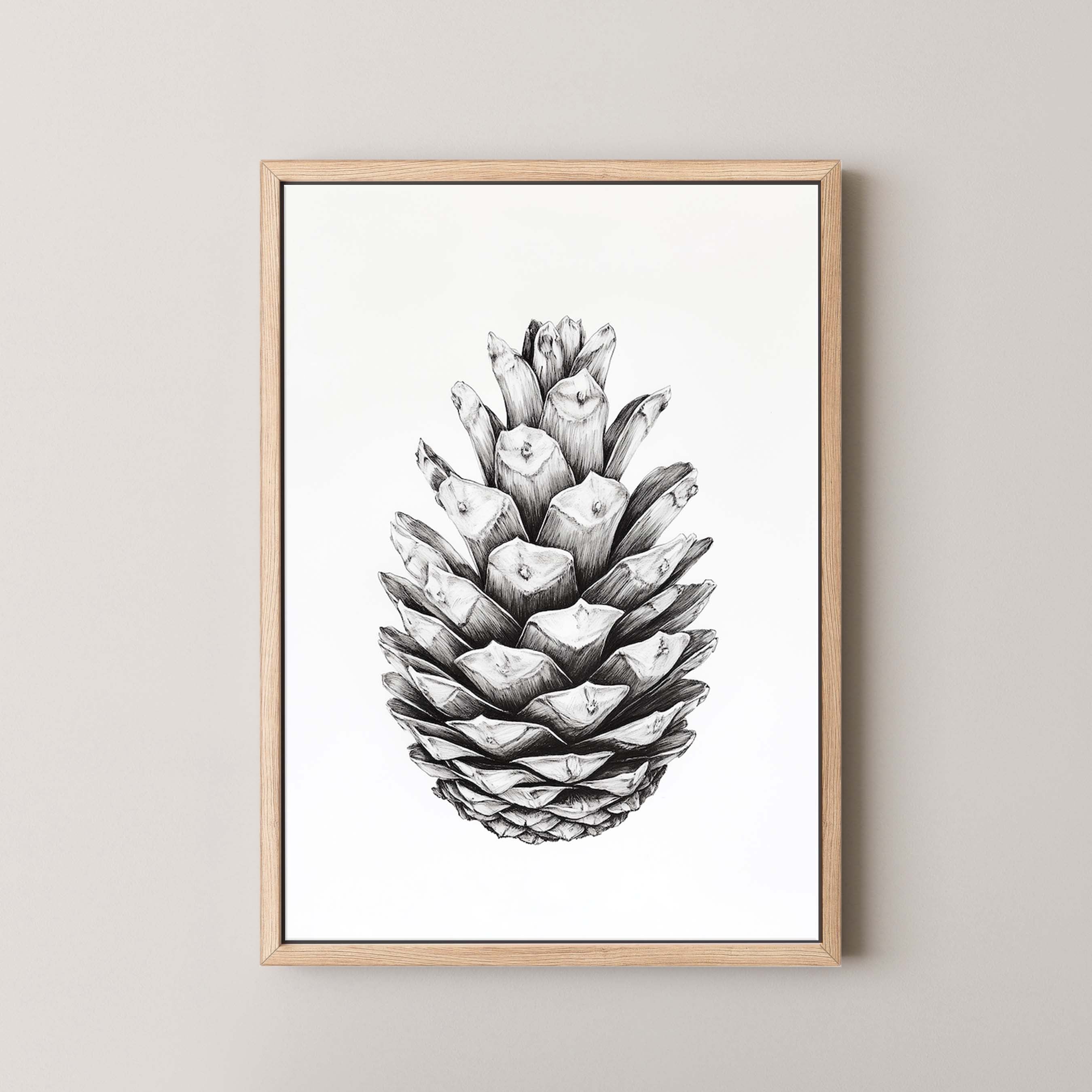Cone II