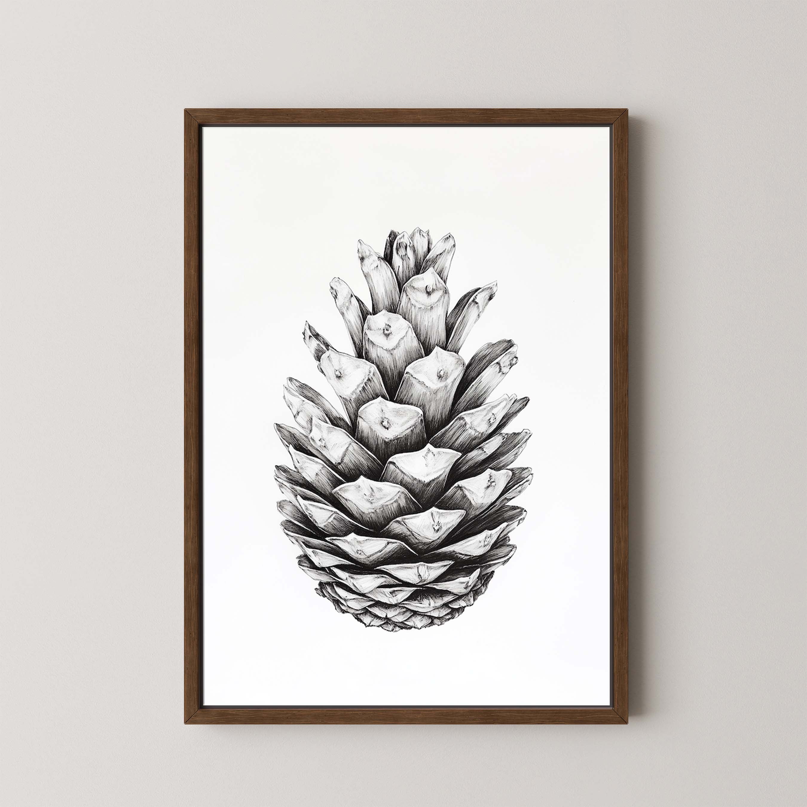 Cone II