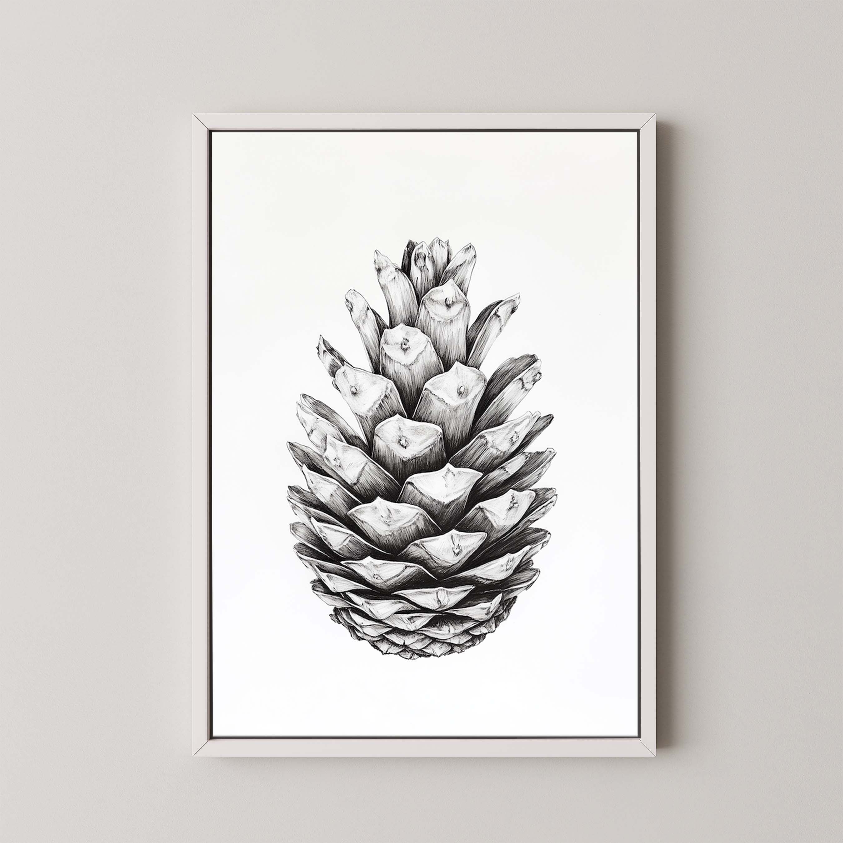 Cone II
