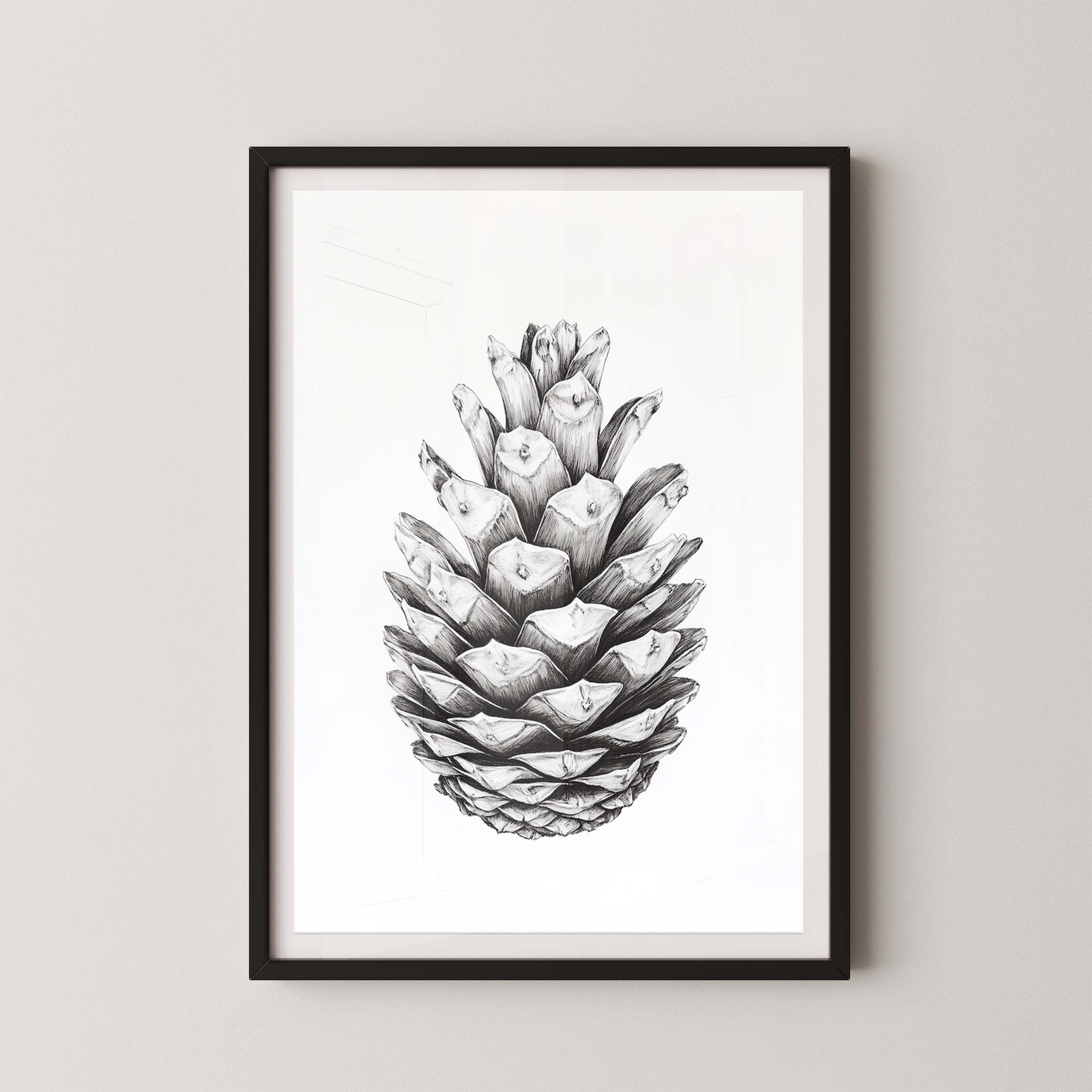 Cone II