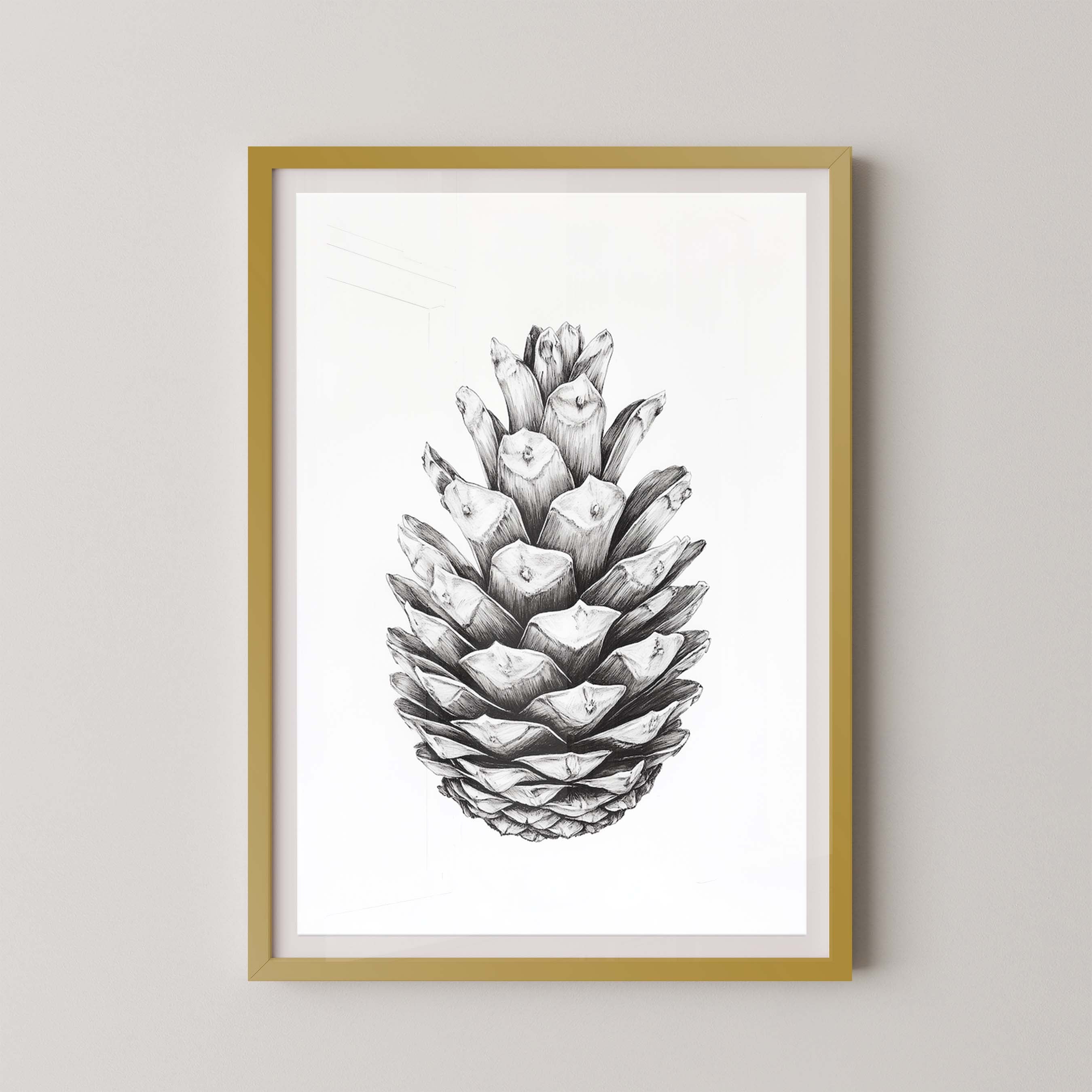 Cone II