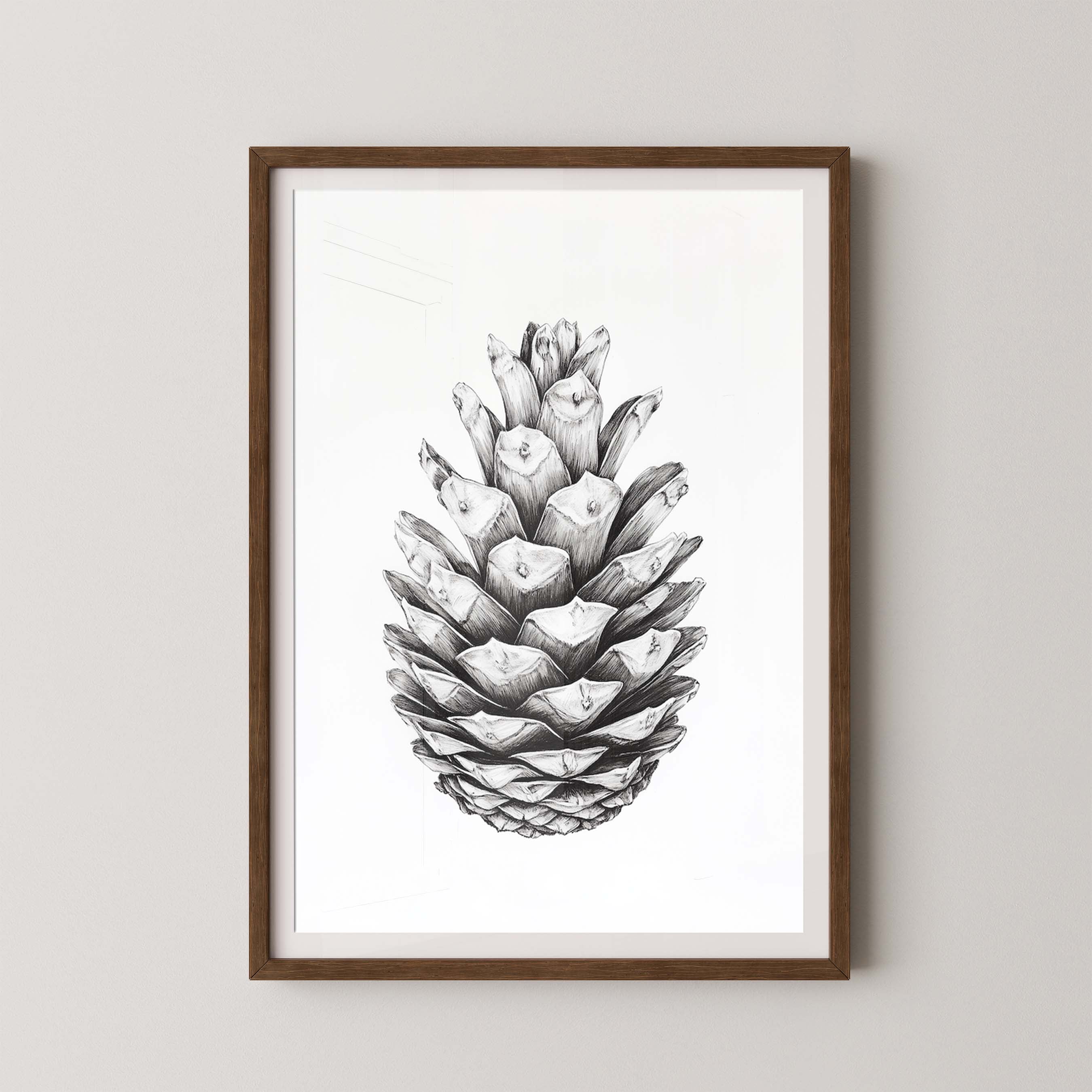 Cone II