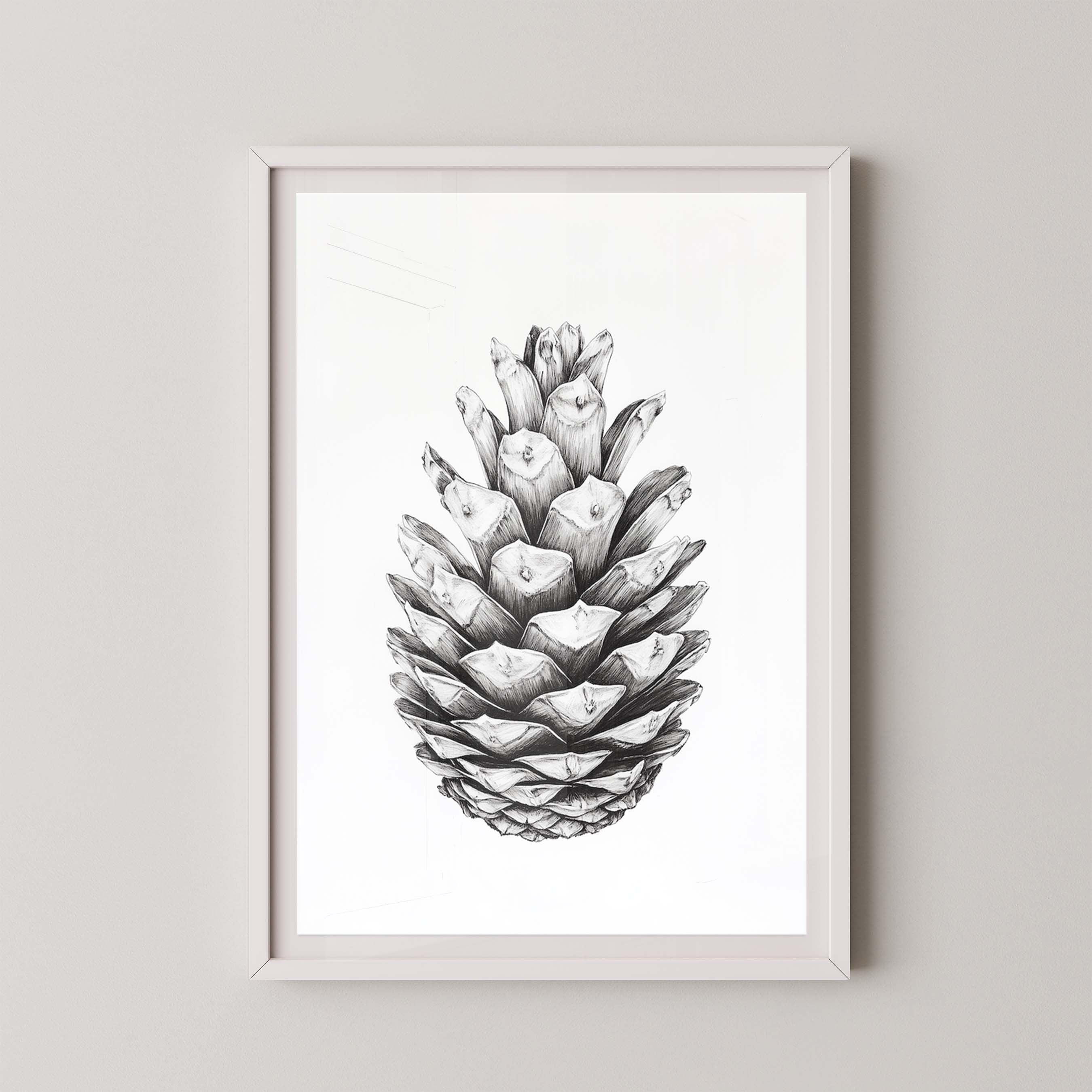 Cone II