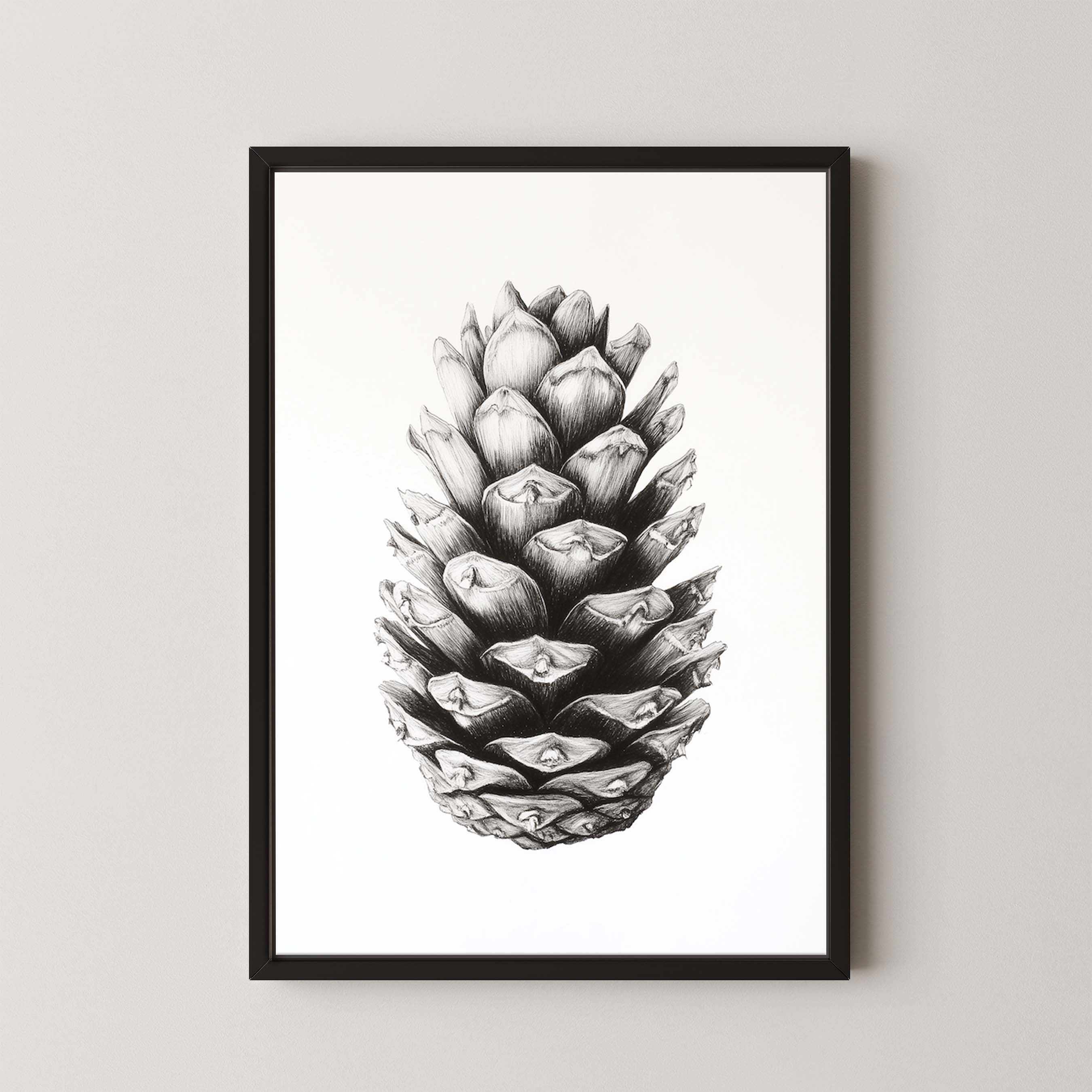 Cone I