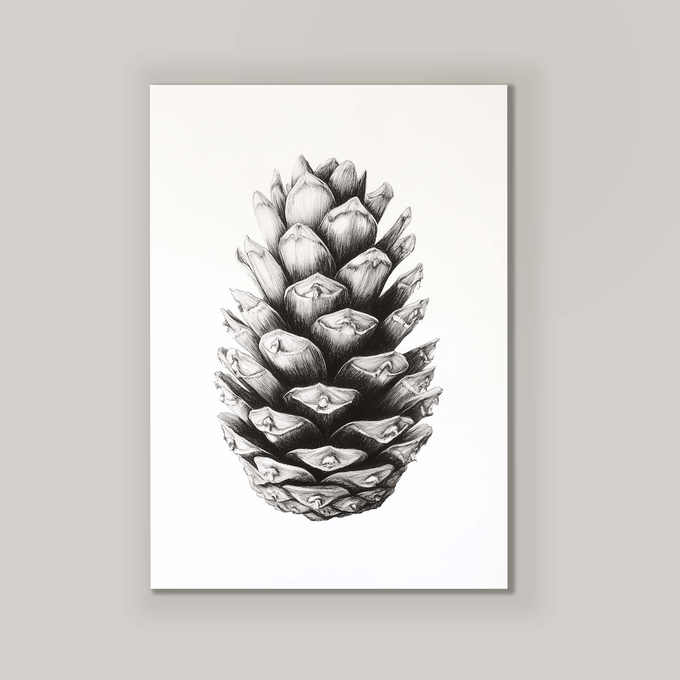 Cone I