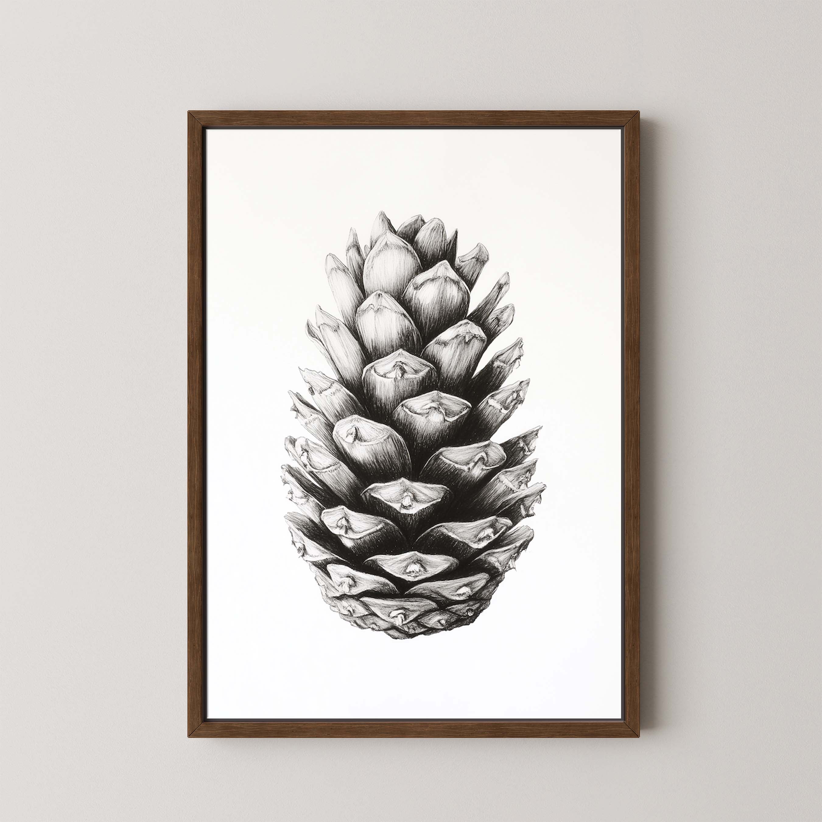 Cone I