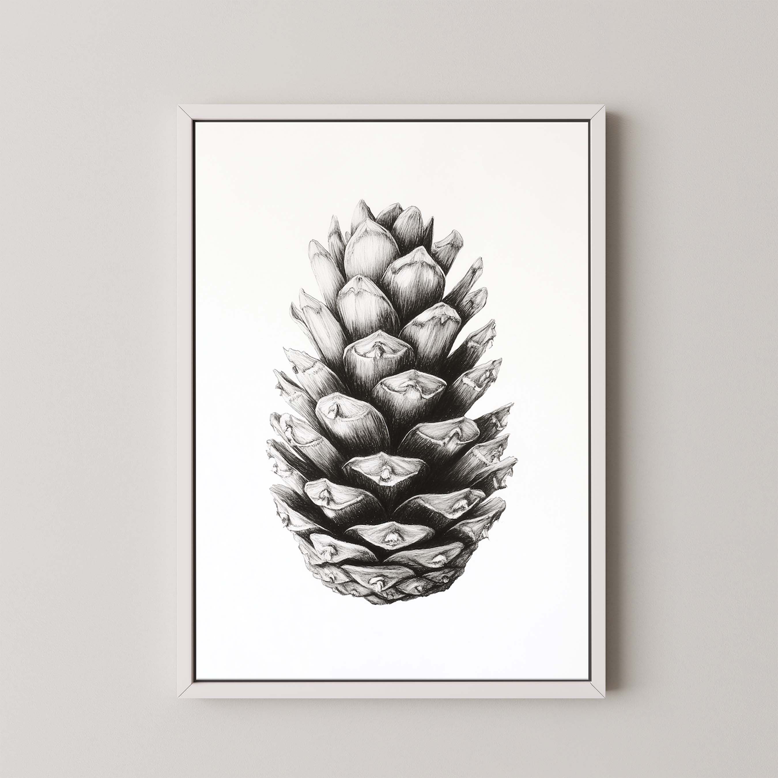 Cone I
