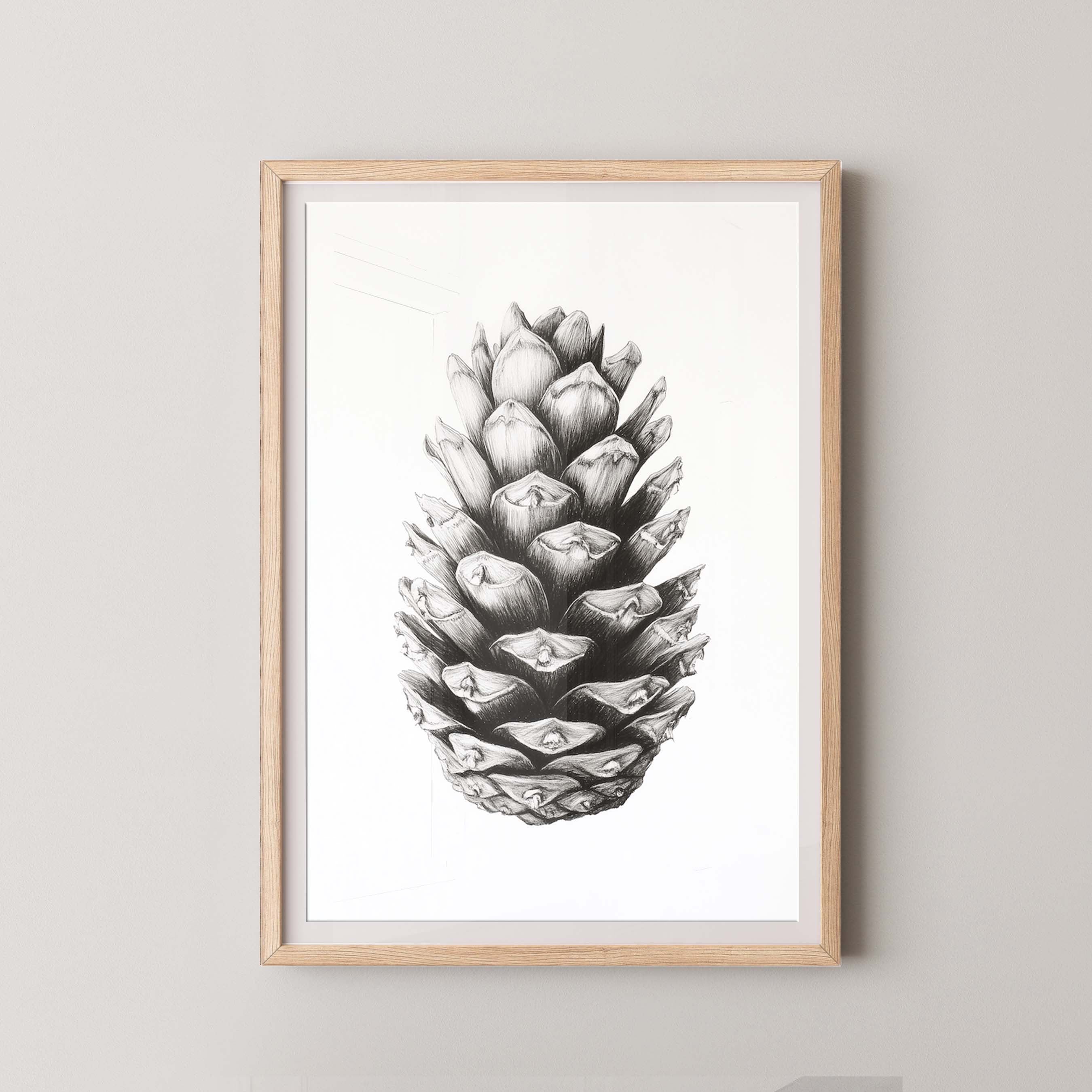 Cone I