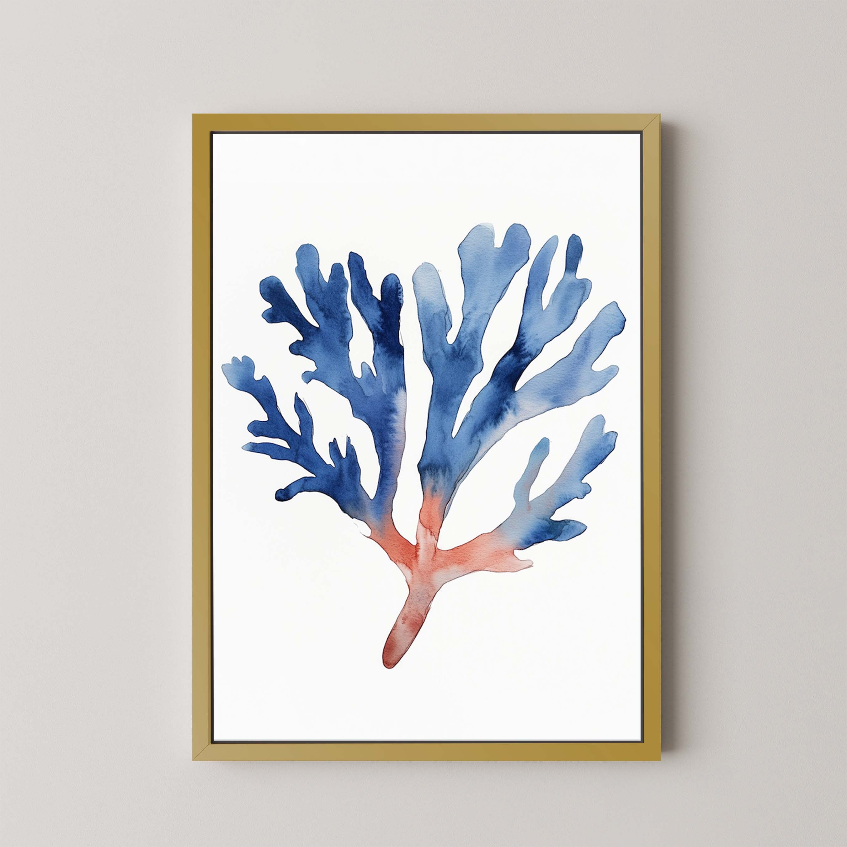 Coral II