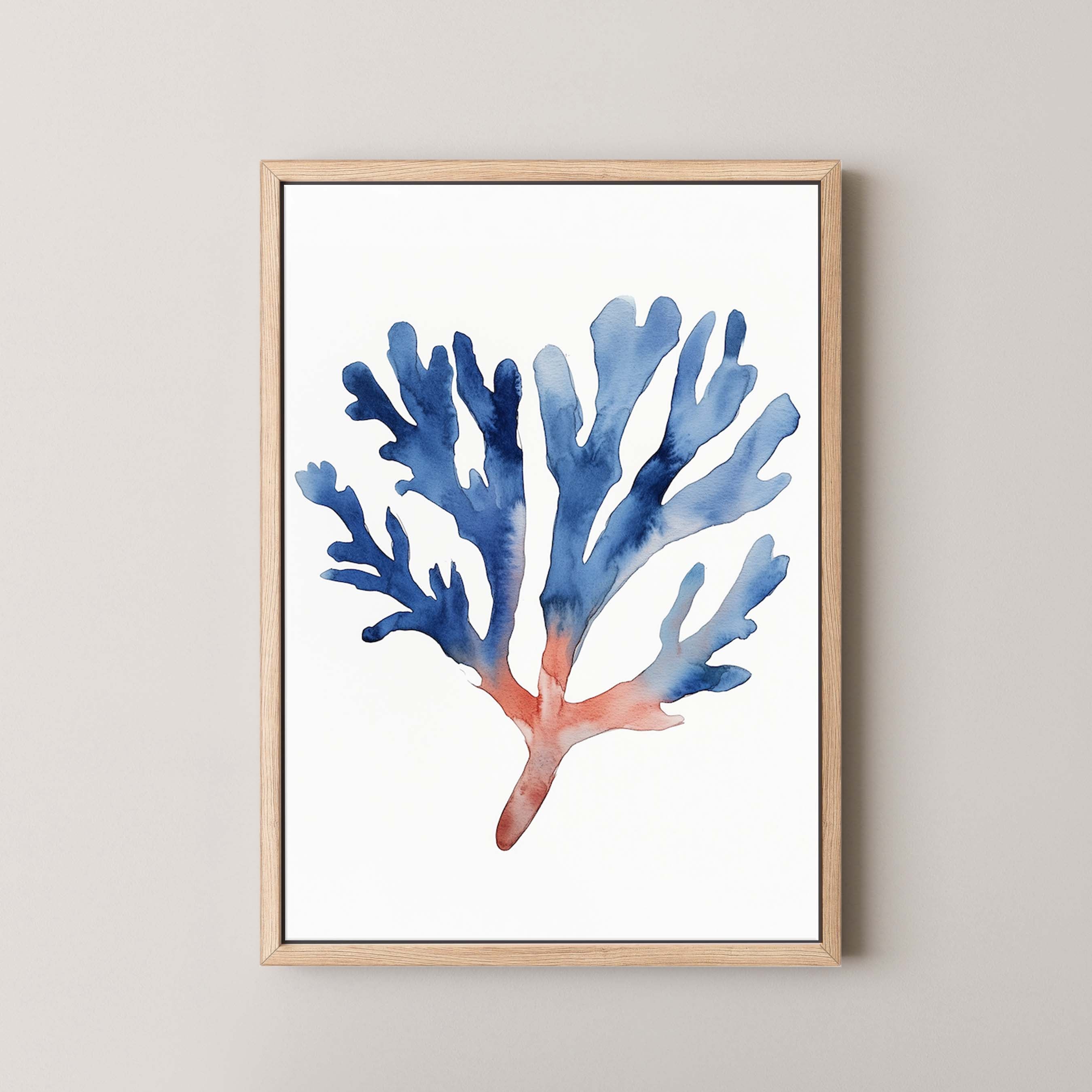 Coral II