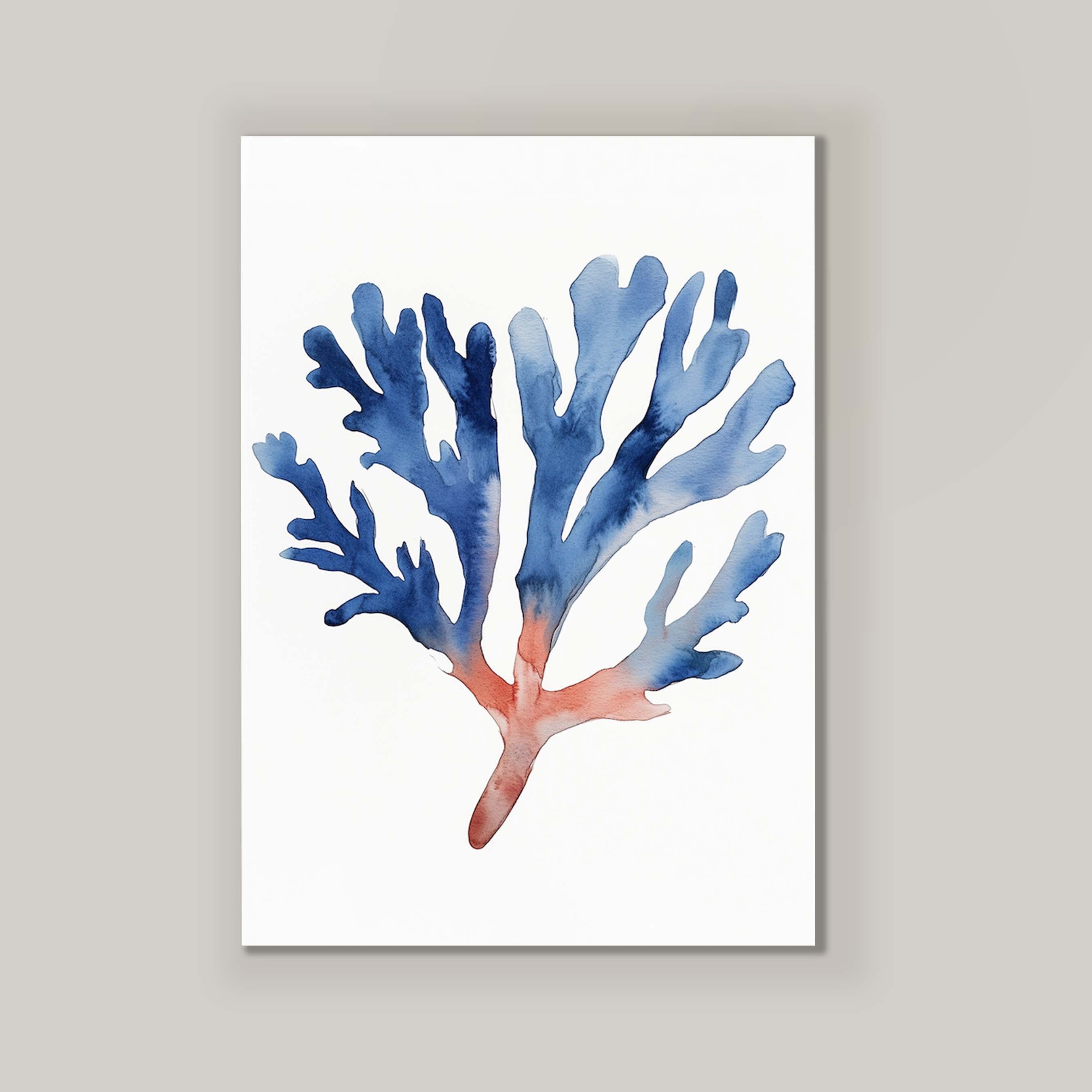 Coral II
