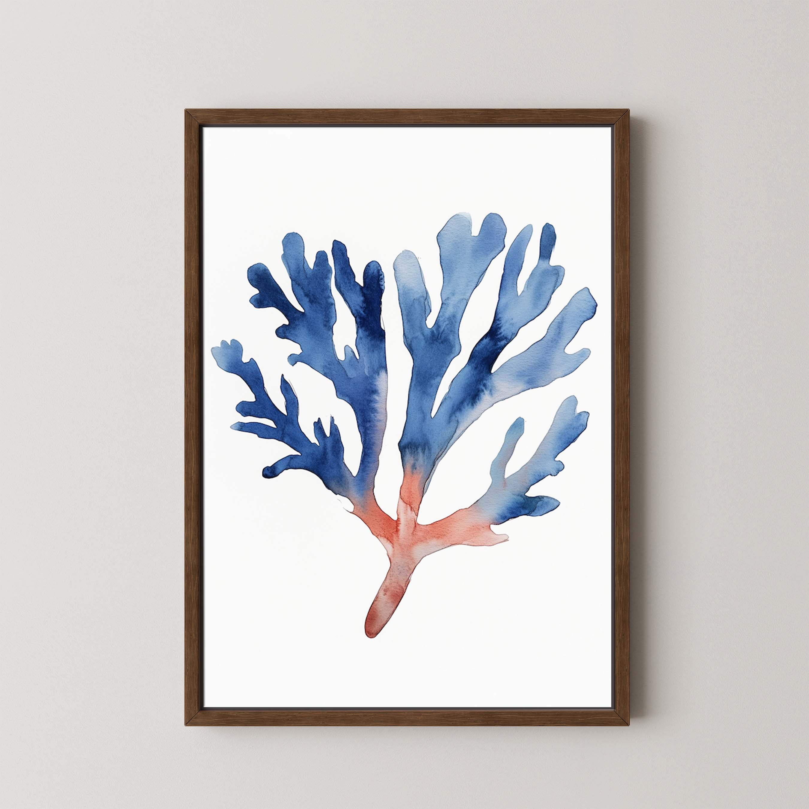 Coral II