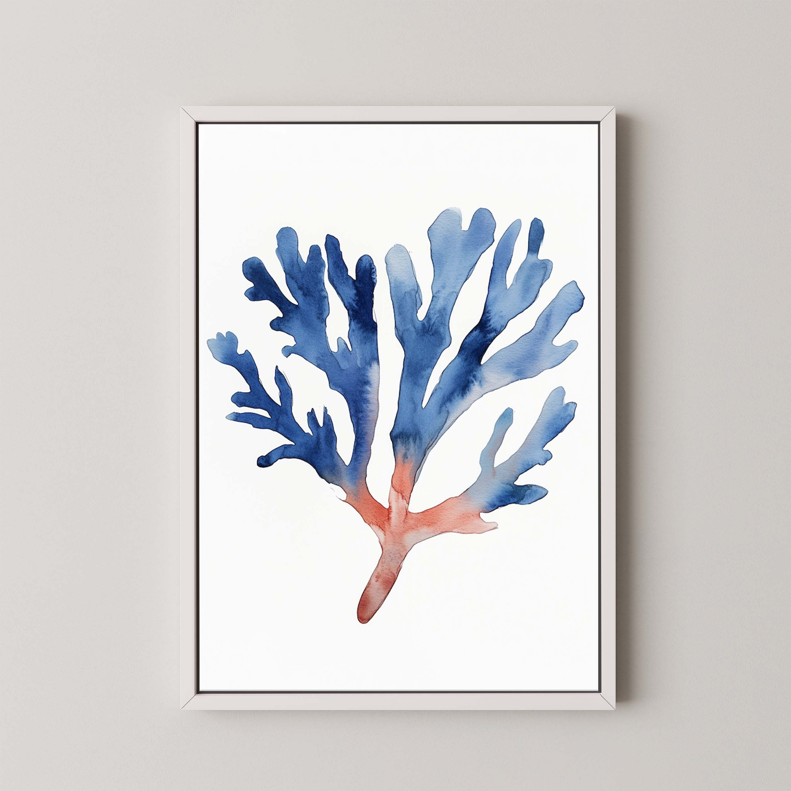 Coral II