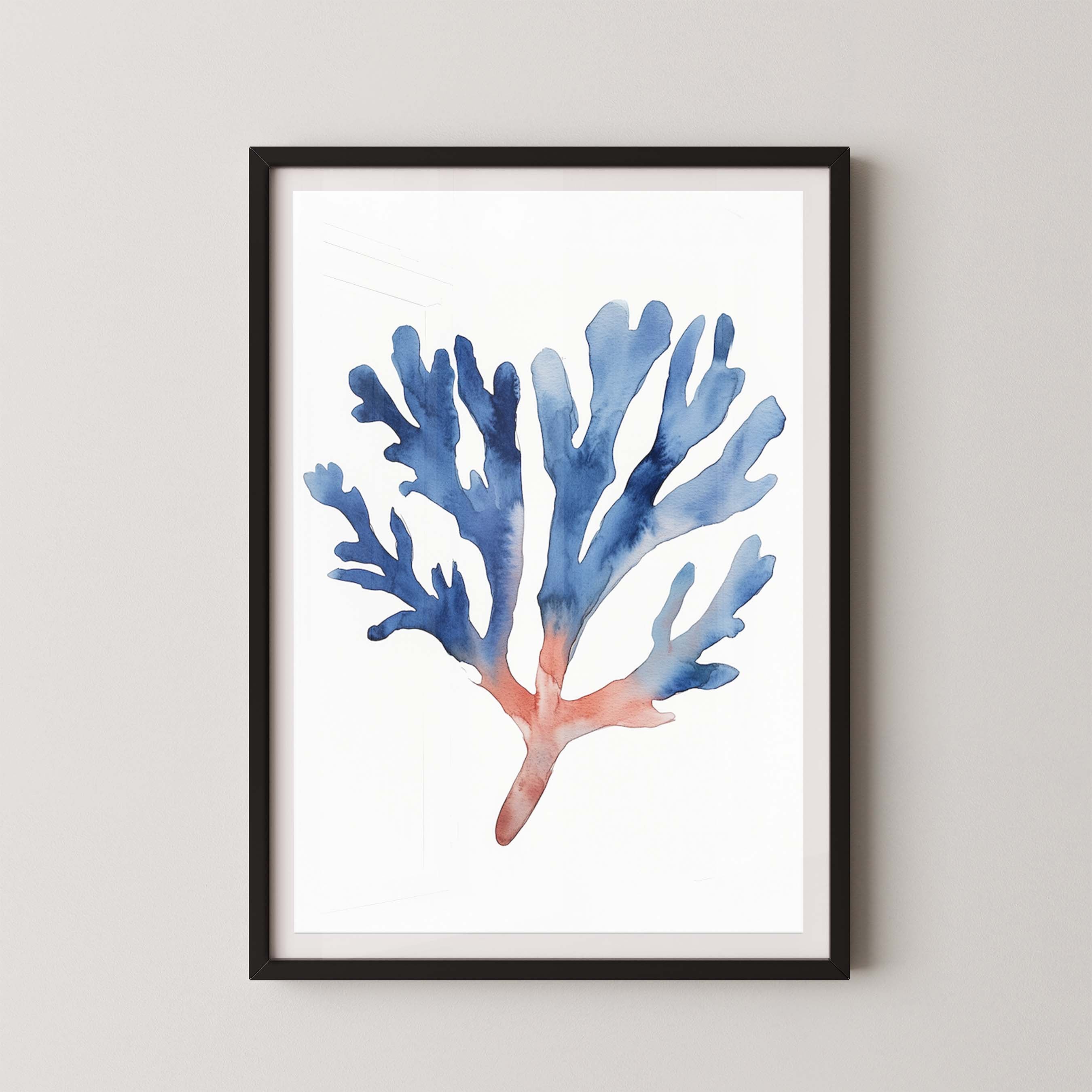 Coral II