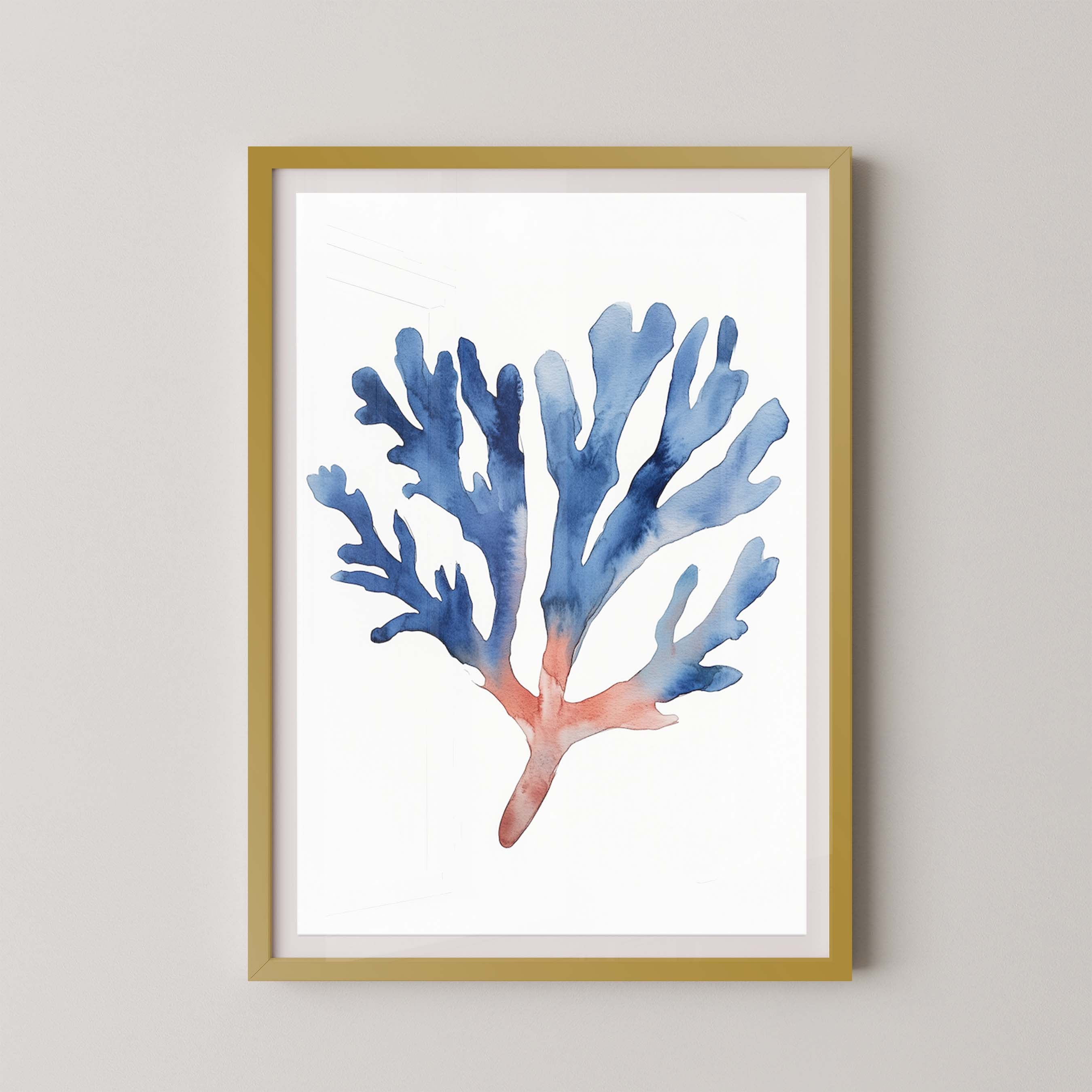 Coral II