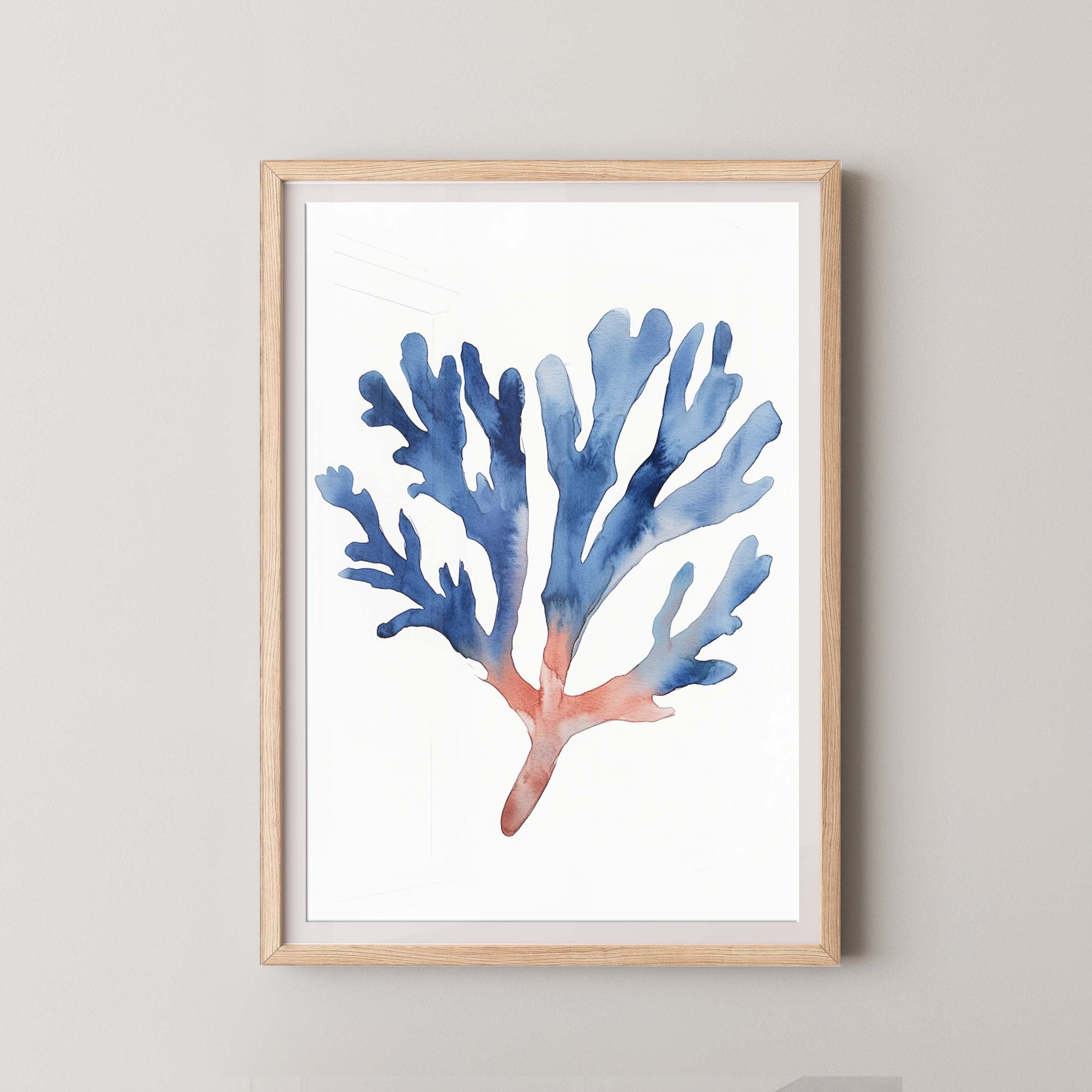Coral II
