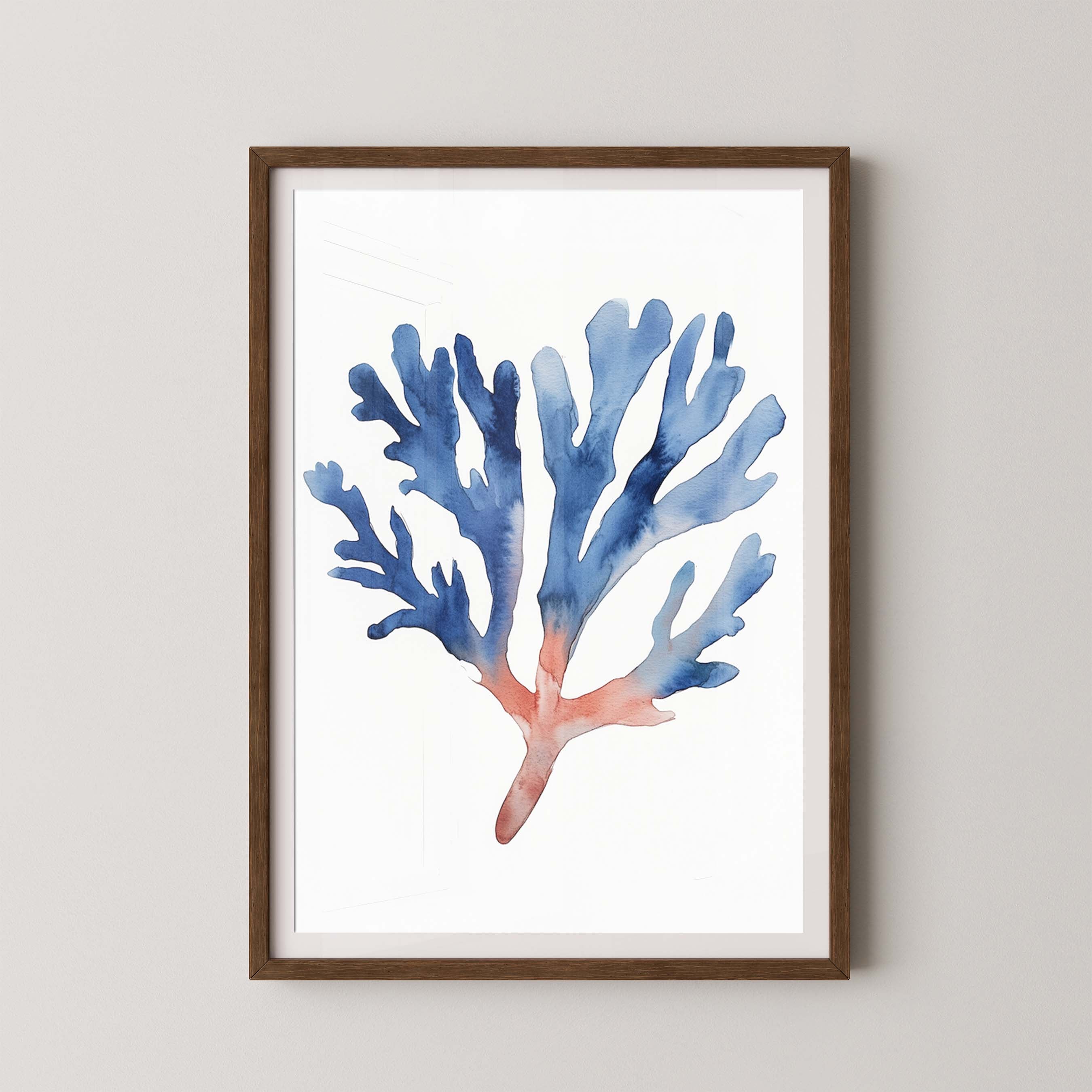 Coral II