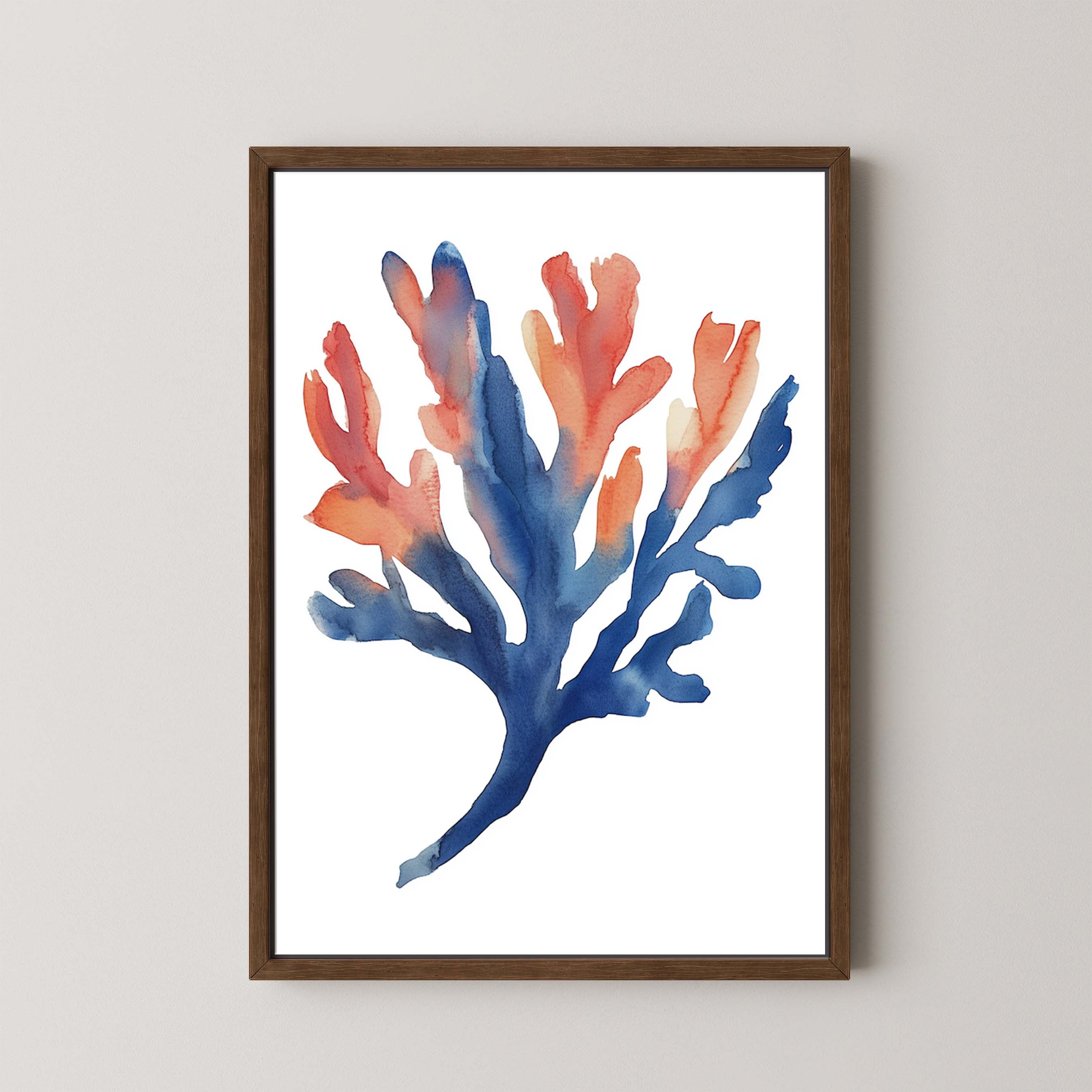Coral I