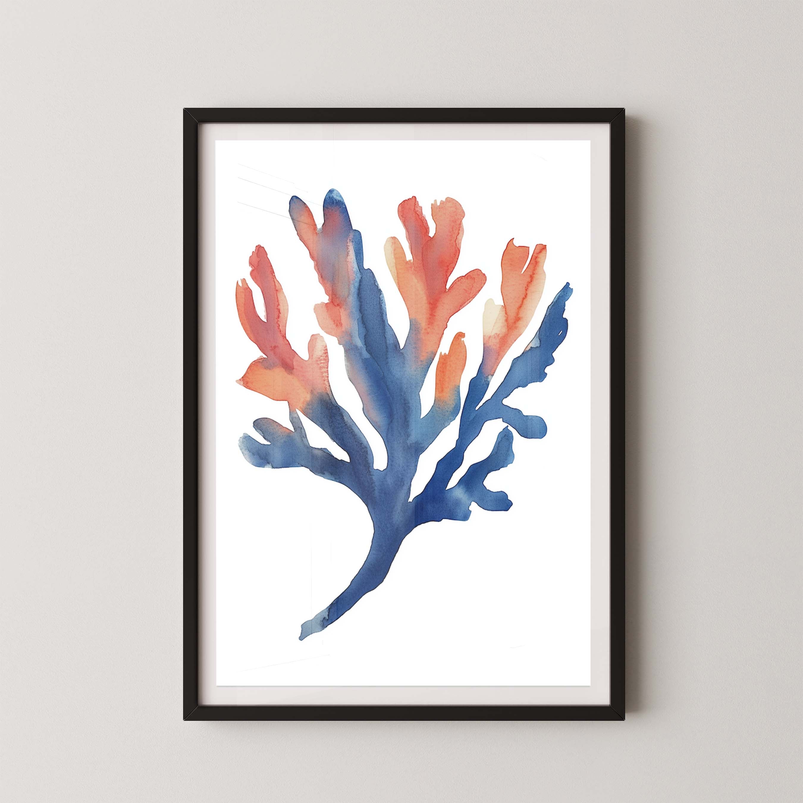 Coral I