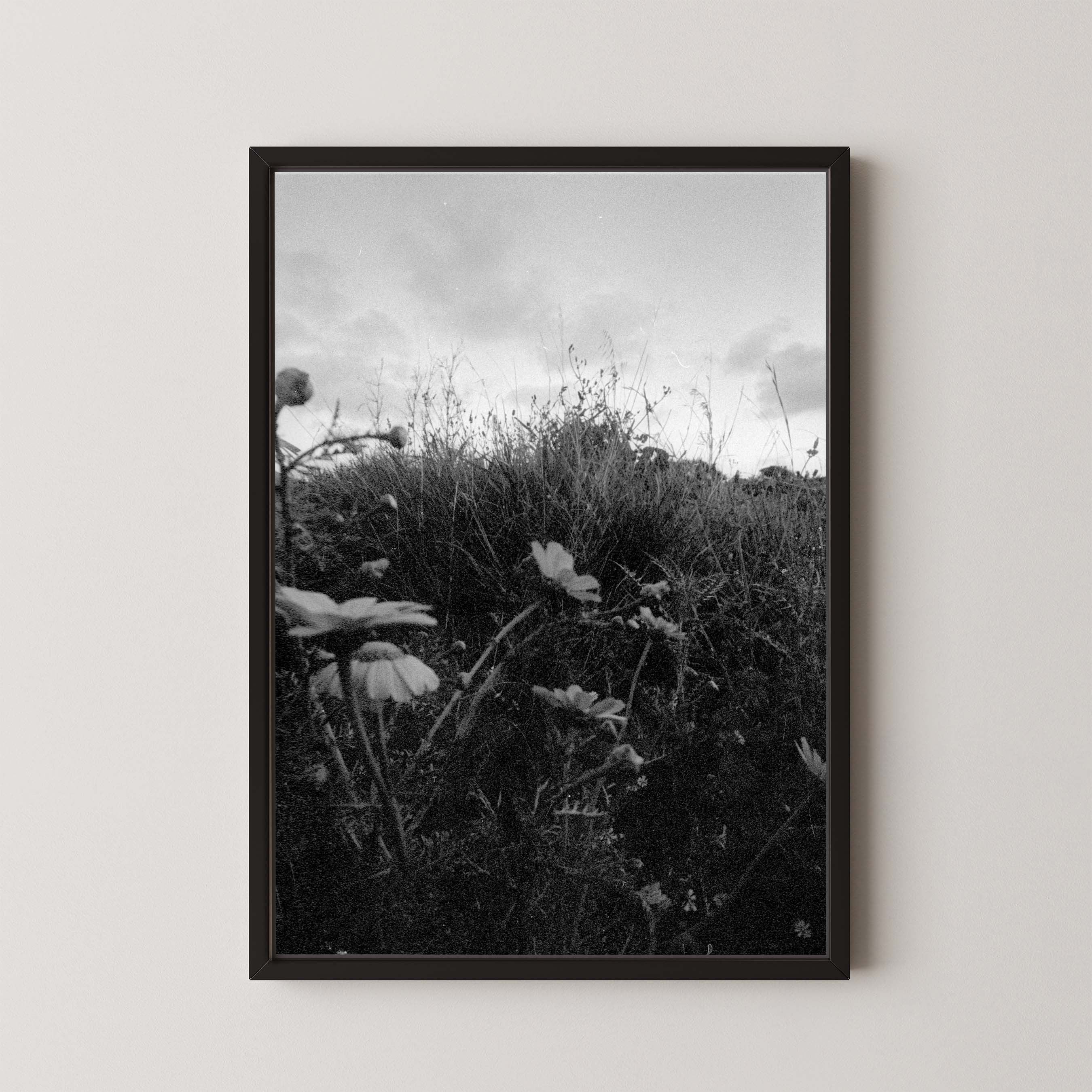 Dark Fields