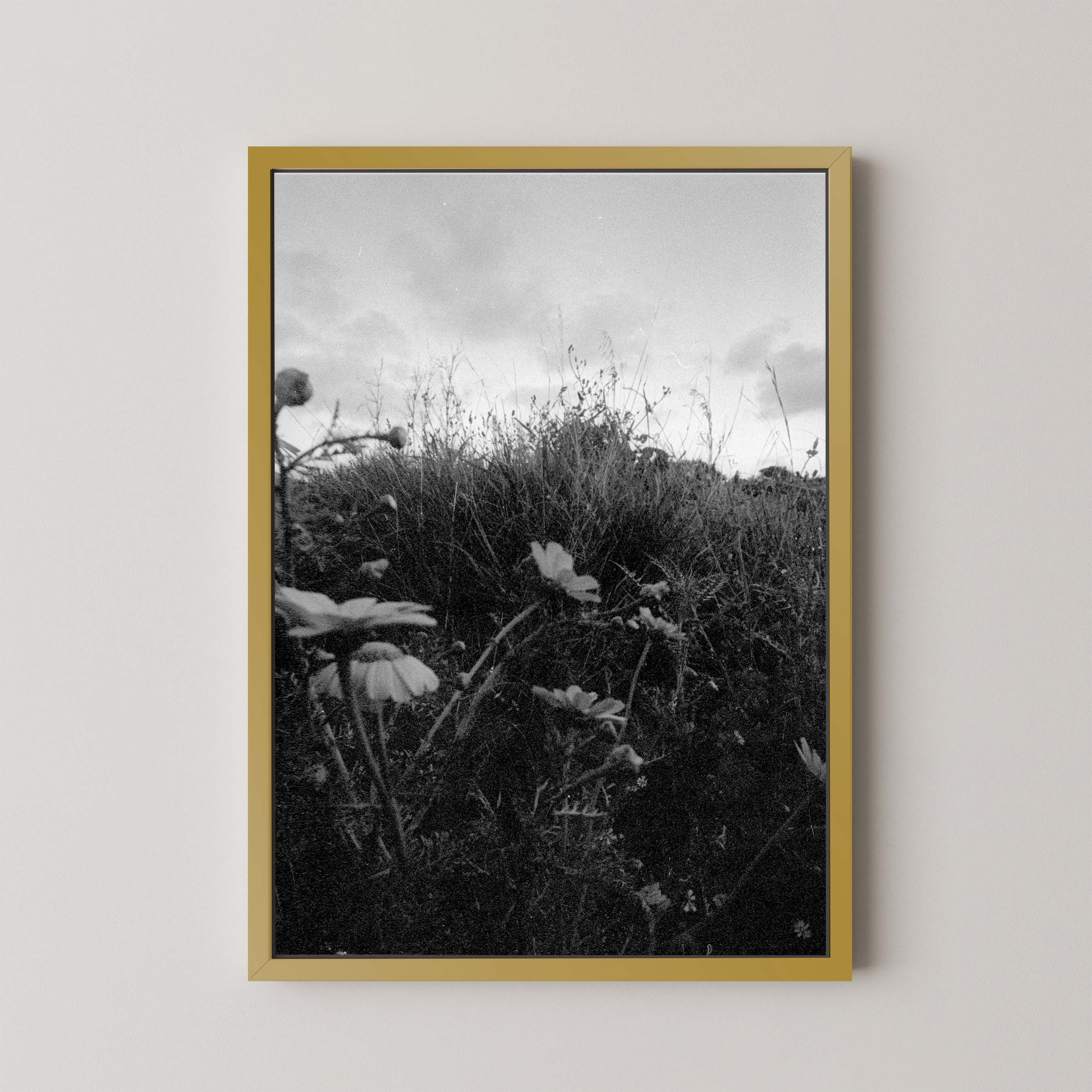 Dark Fields