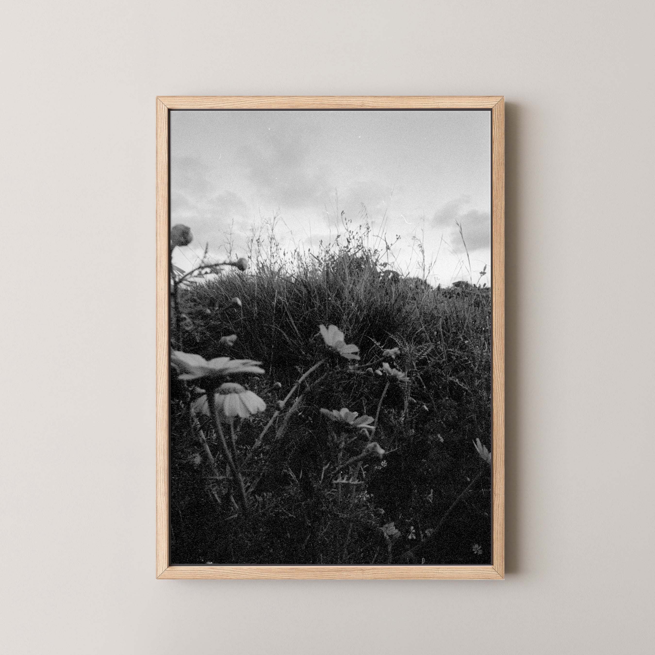 Dark Fields