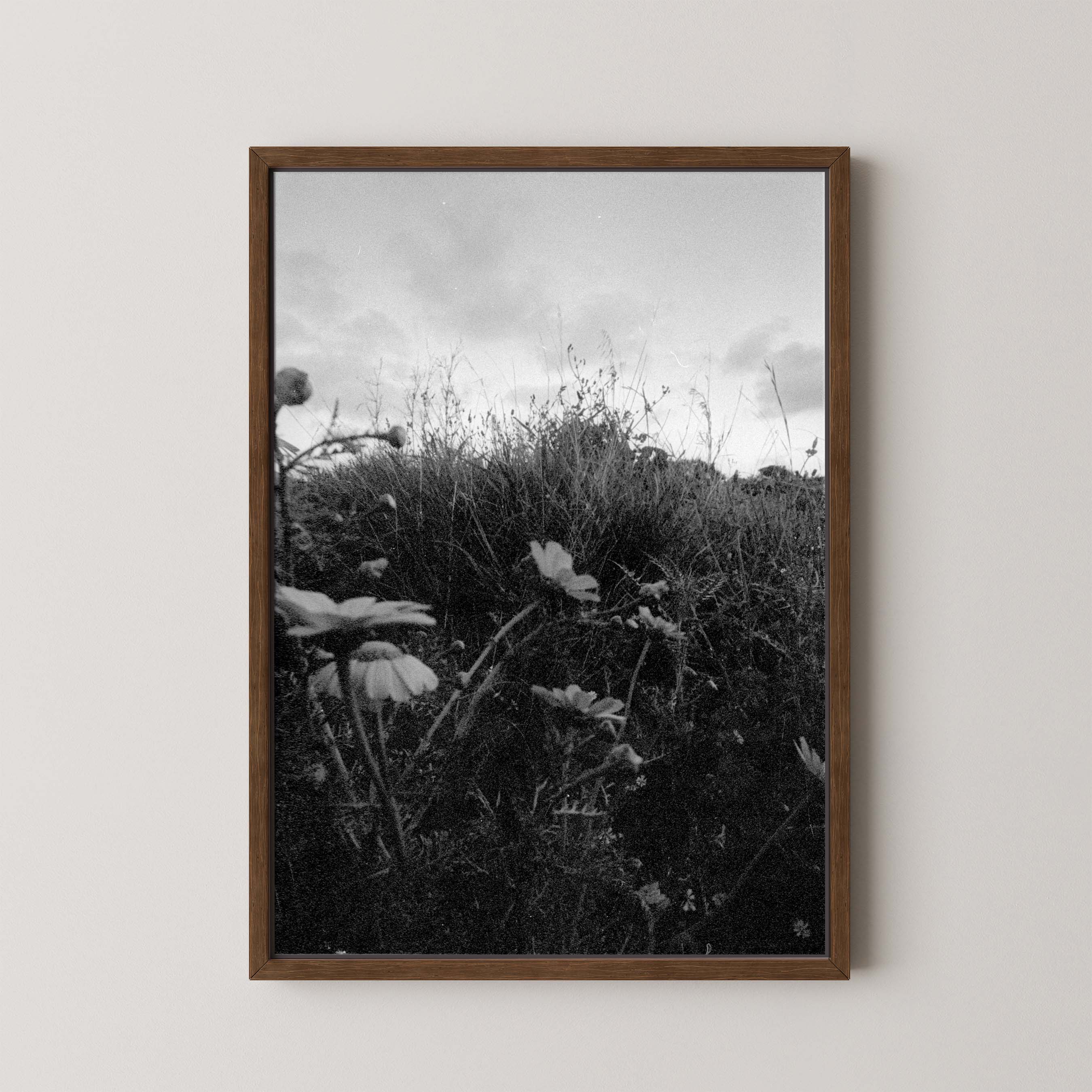 Dark Fields
