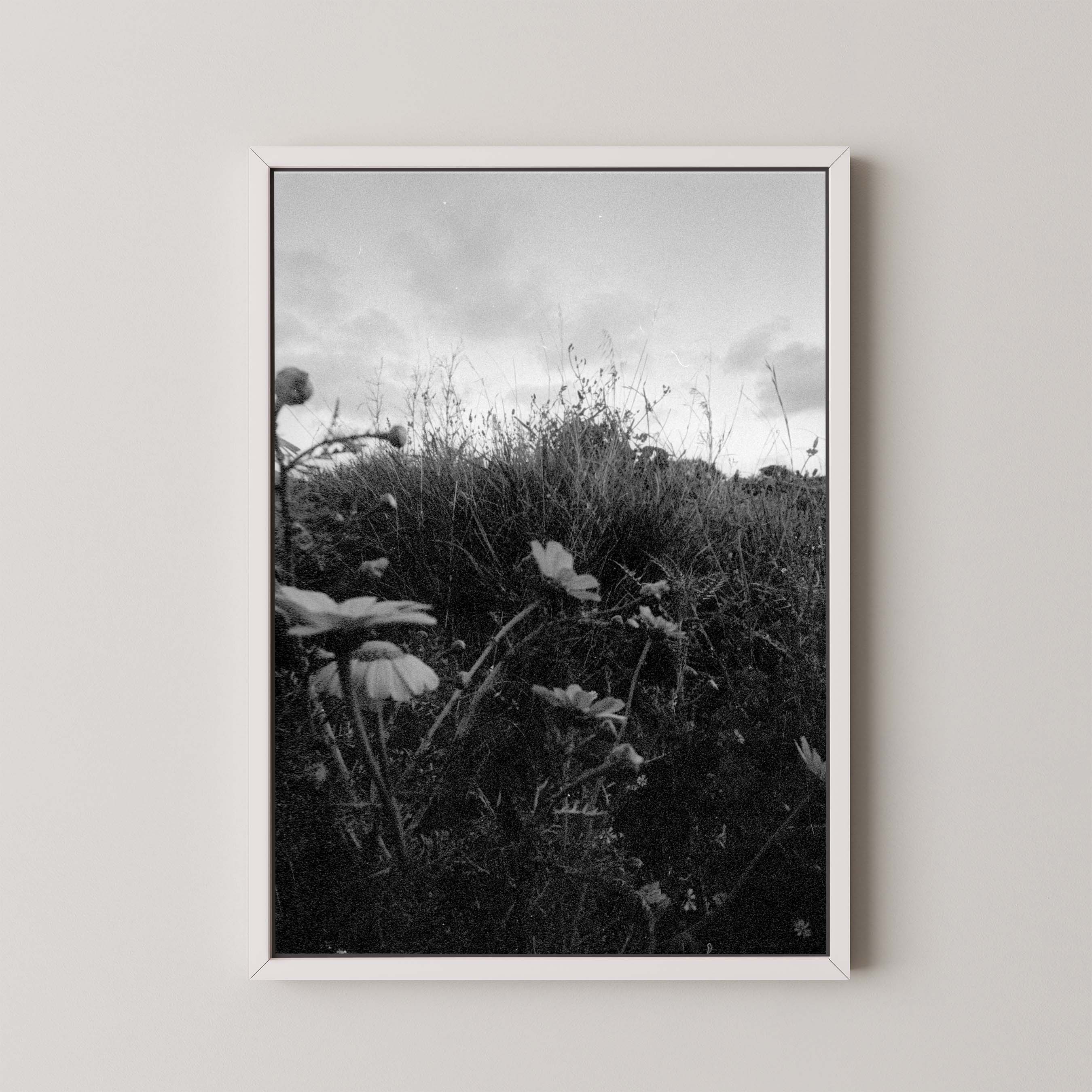 Dark Fields