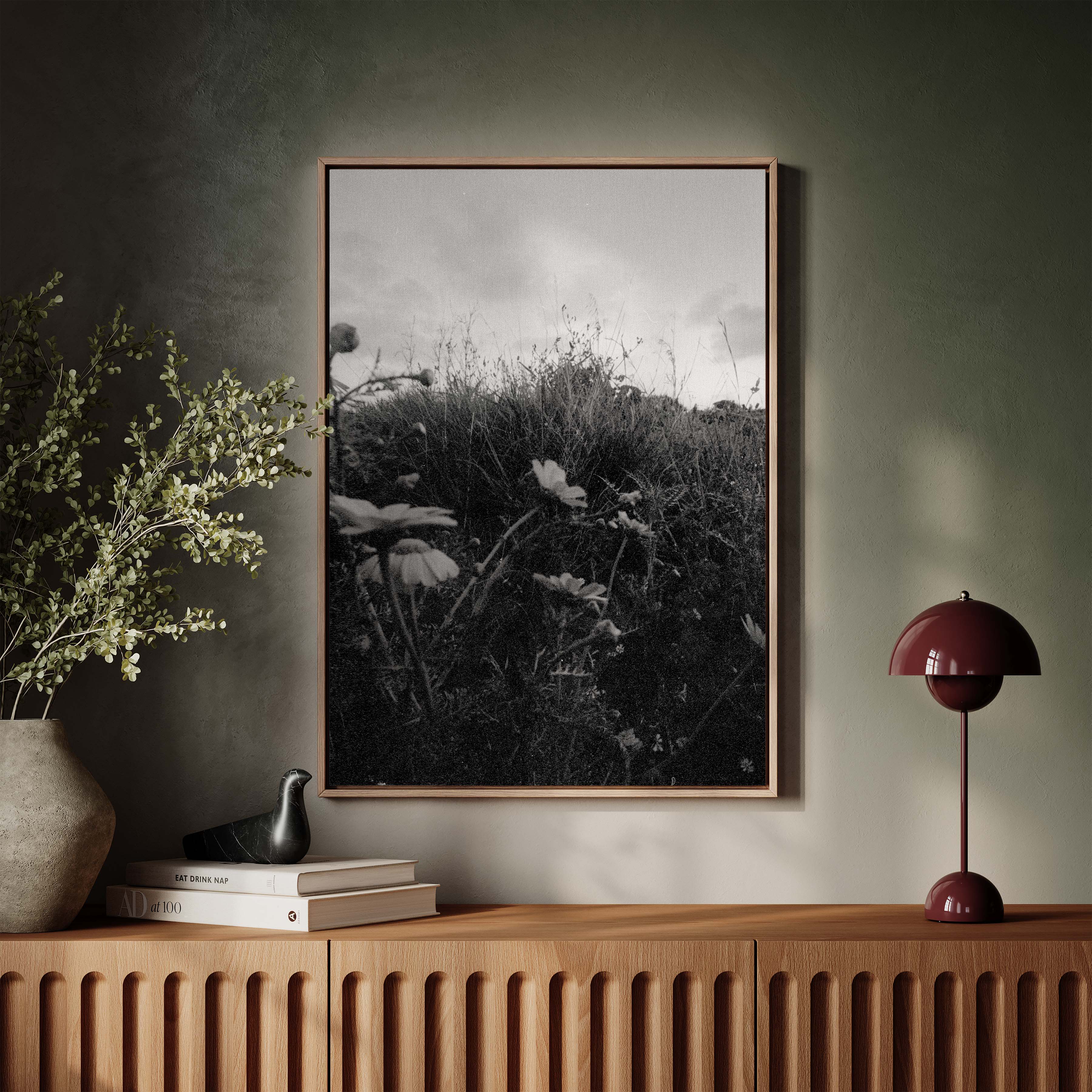 Dark Fields