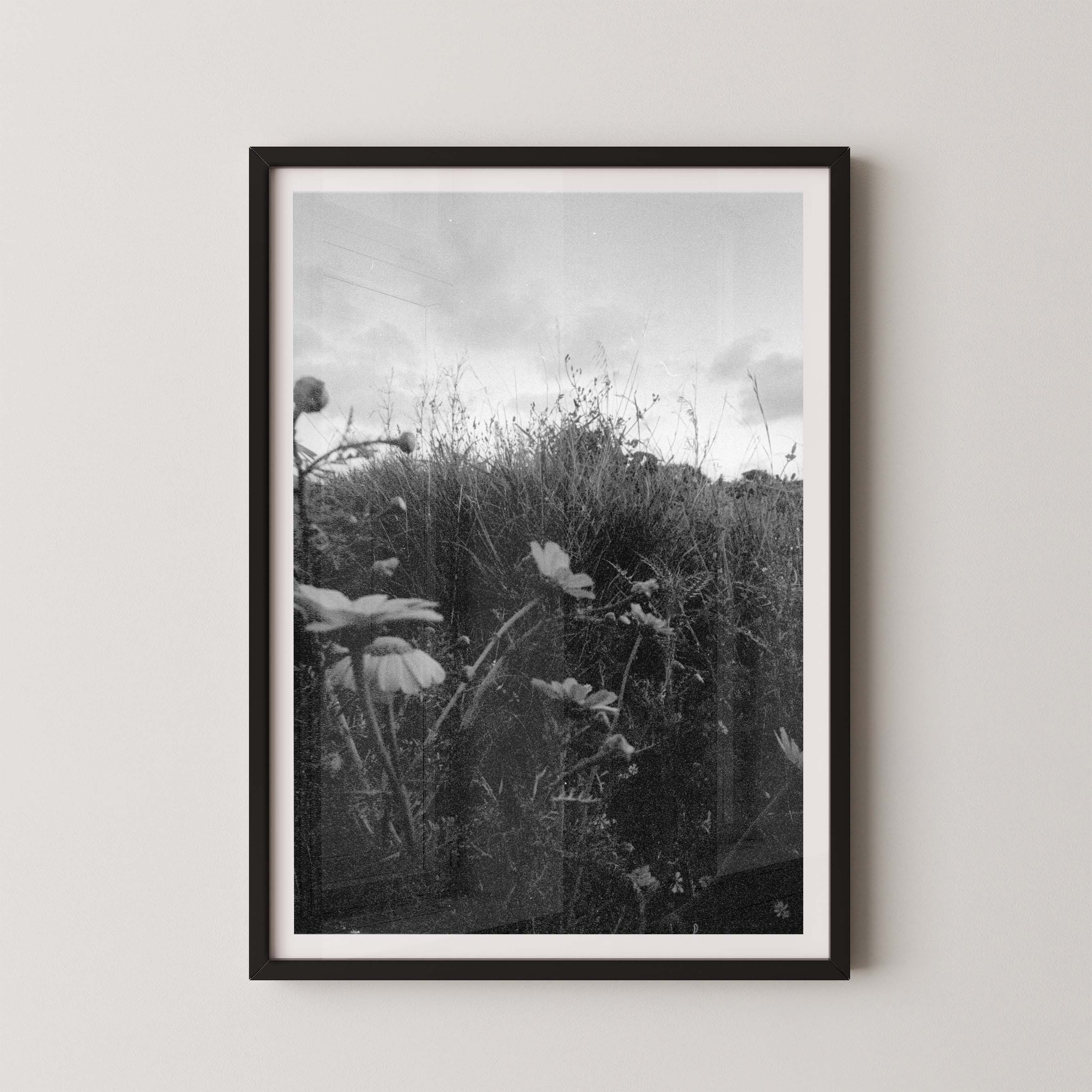 Dark Fields