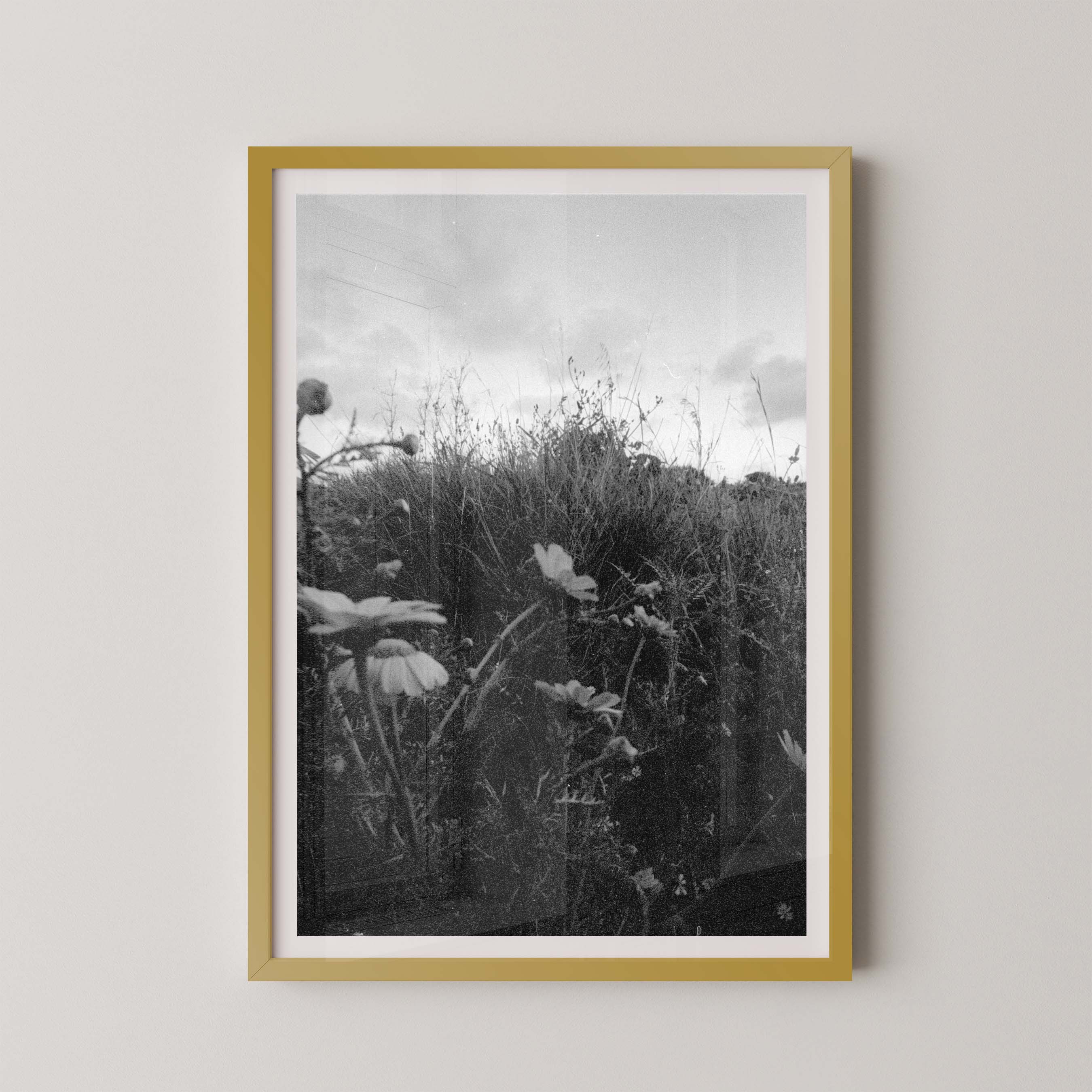 Dark Fields