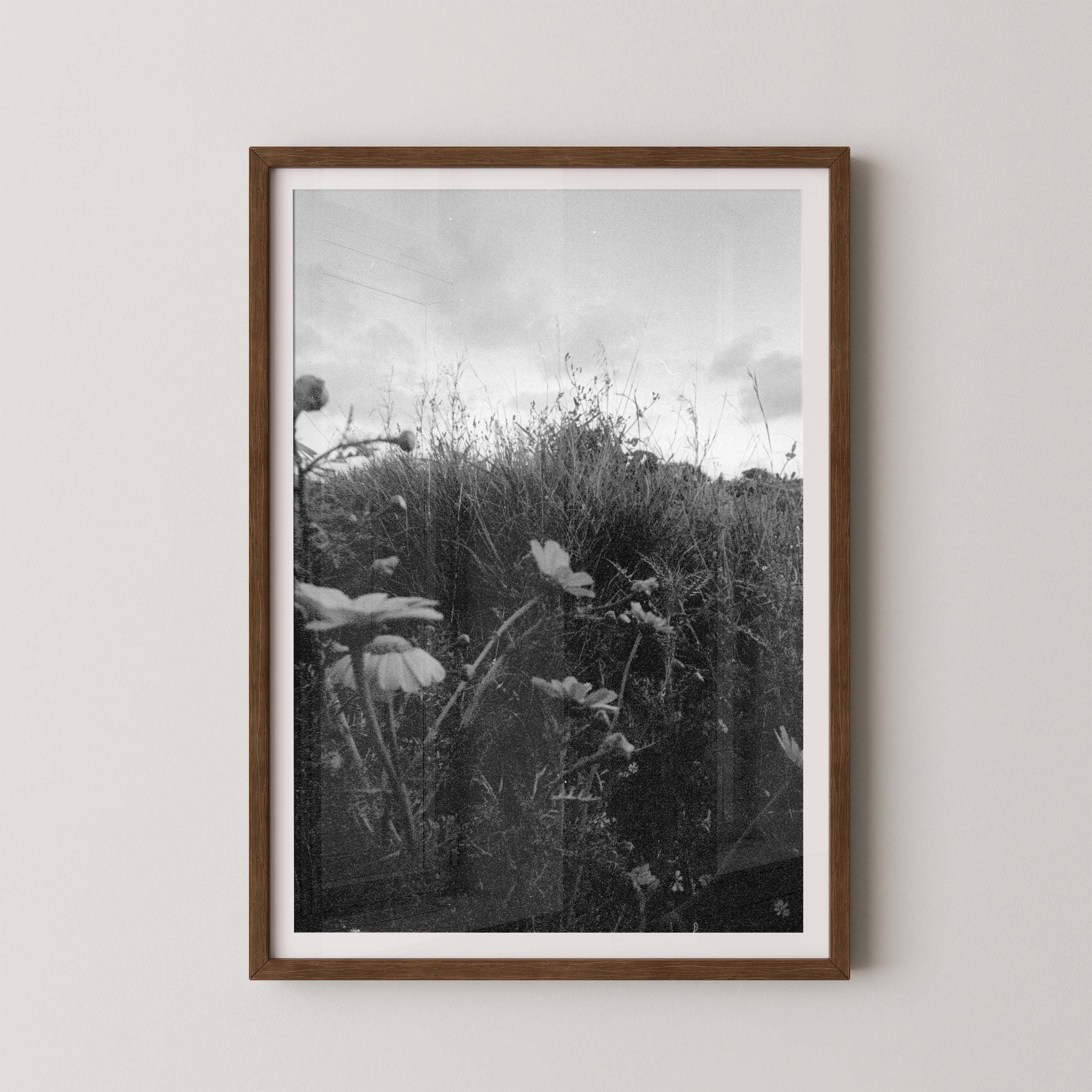 Dark Fields