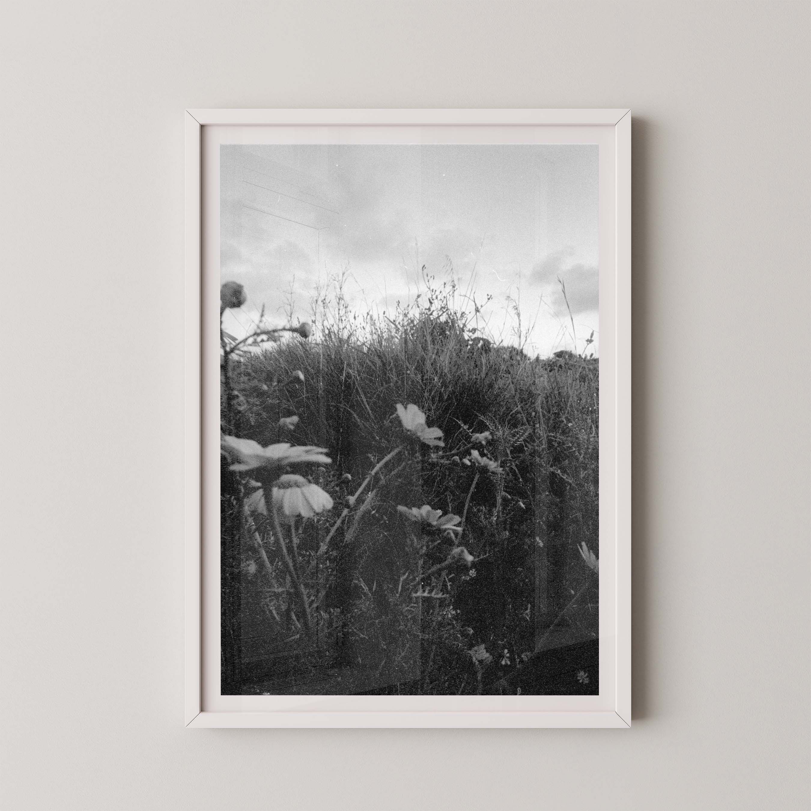 Dark Fields