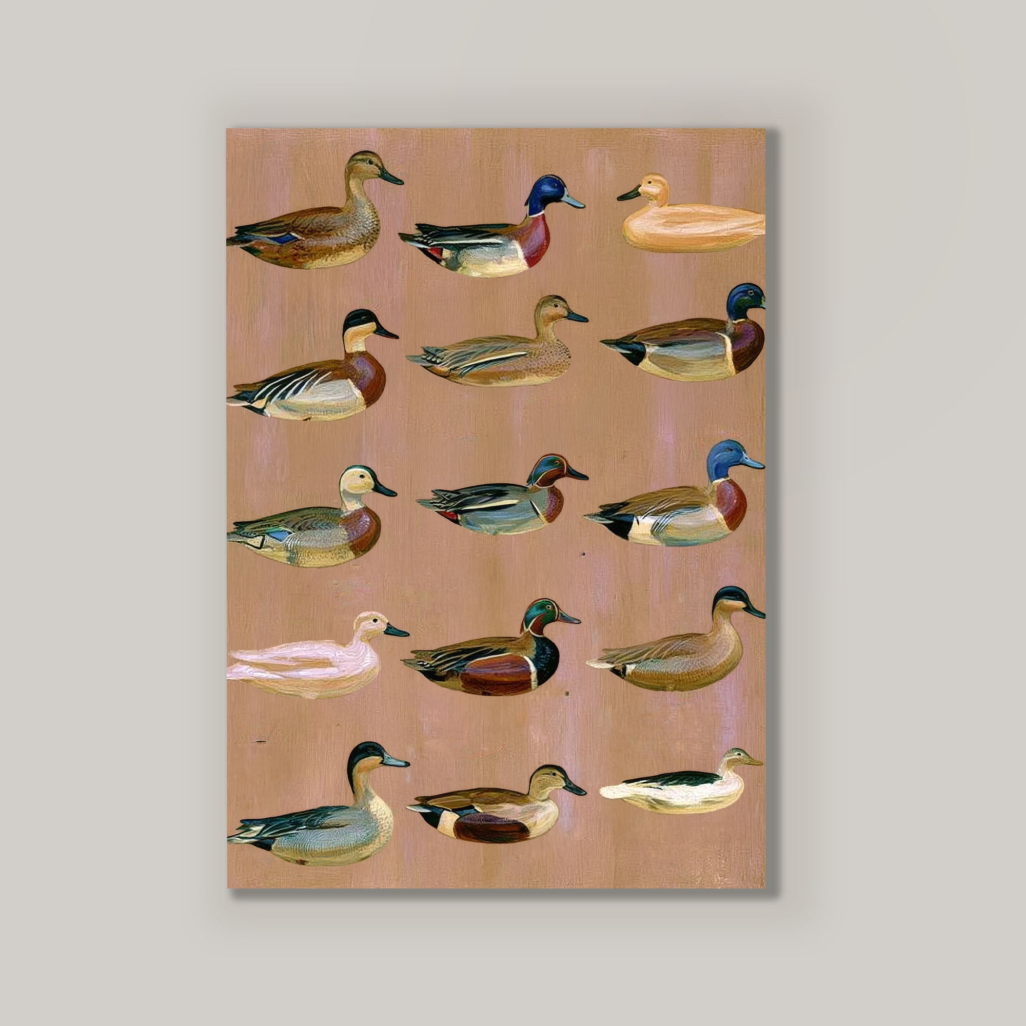 Decoys
