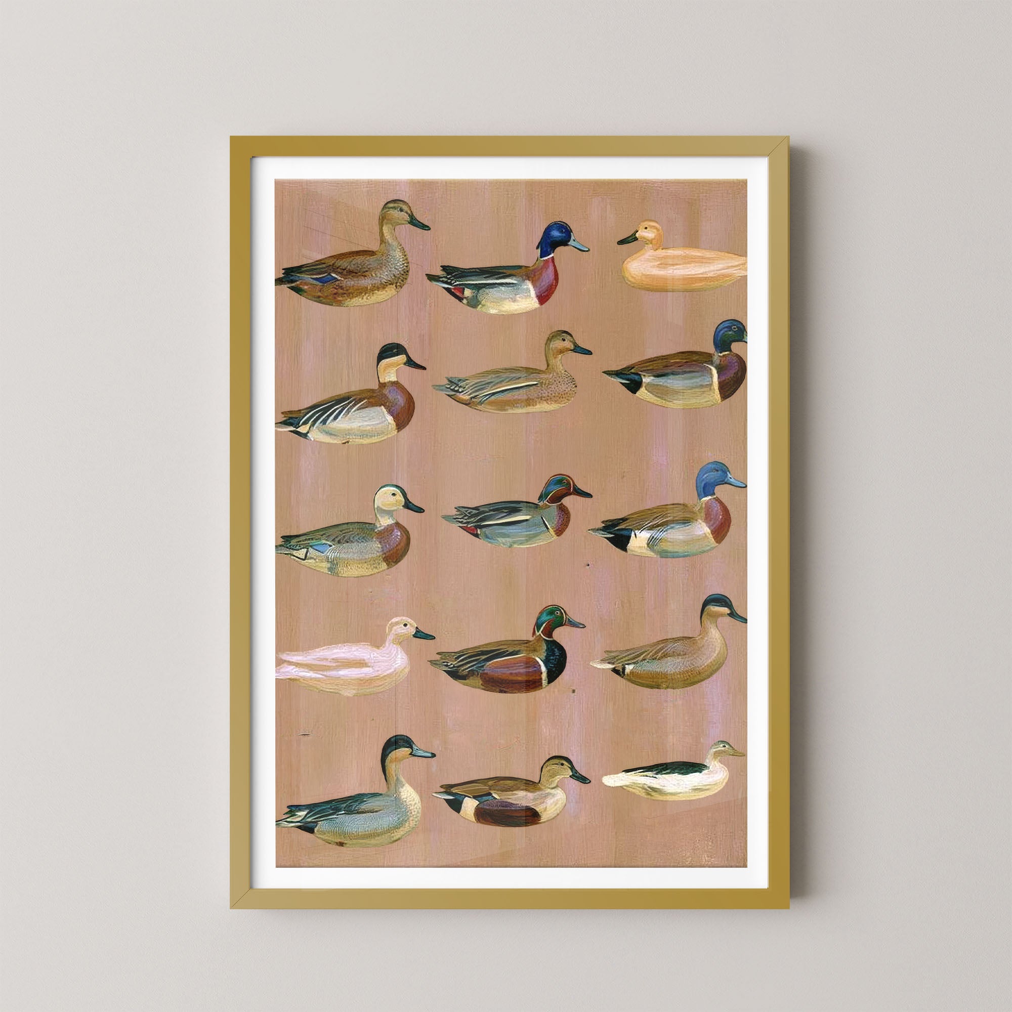 Decoys
