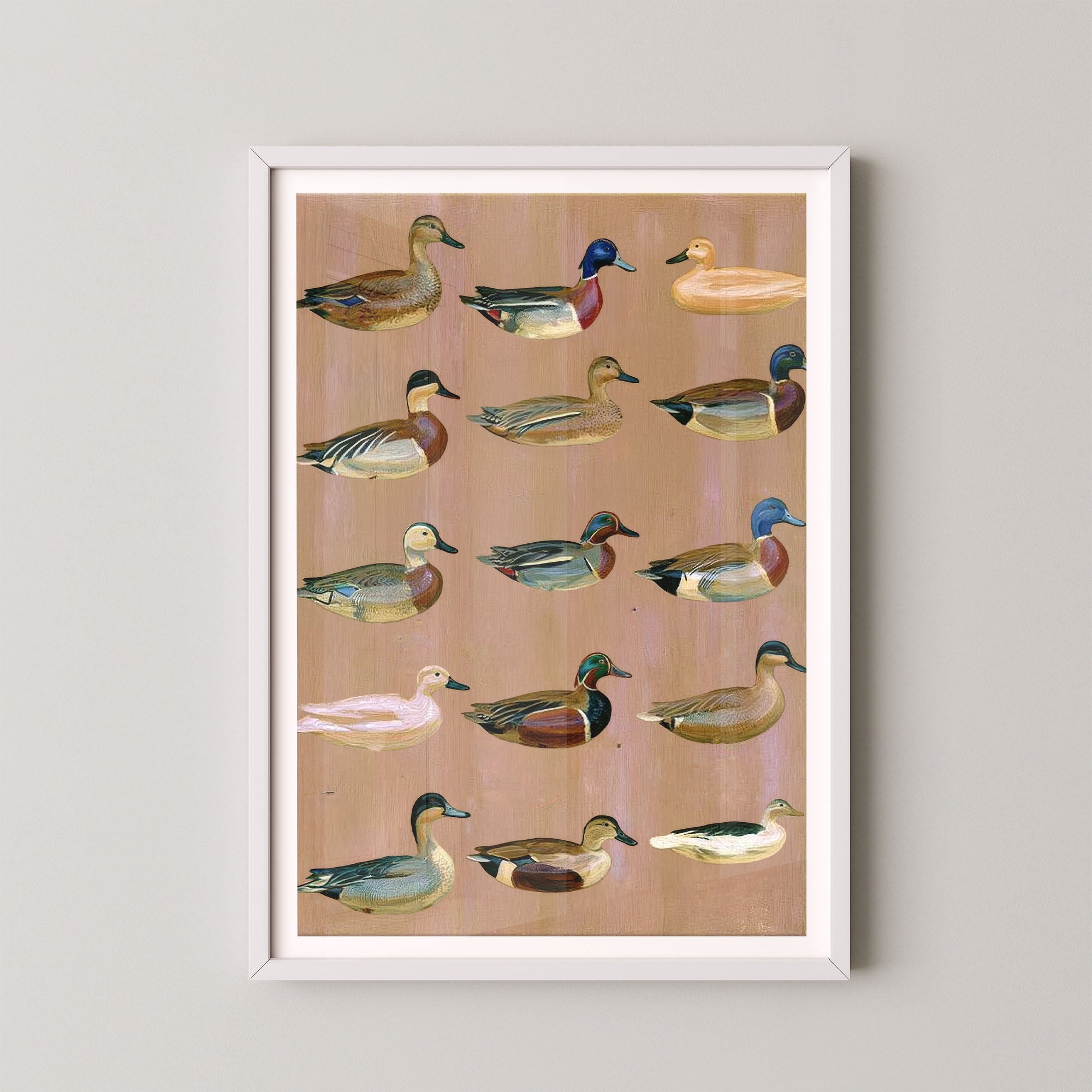 Decoys