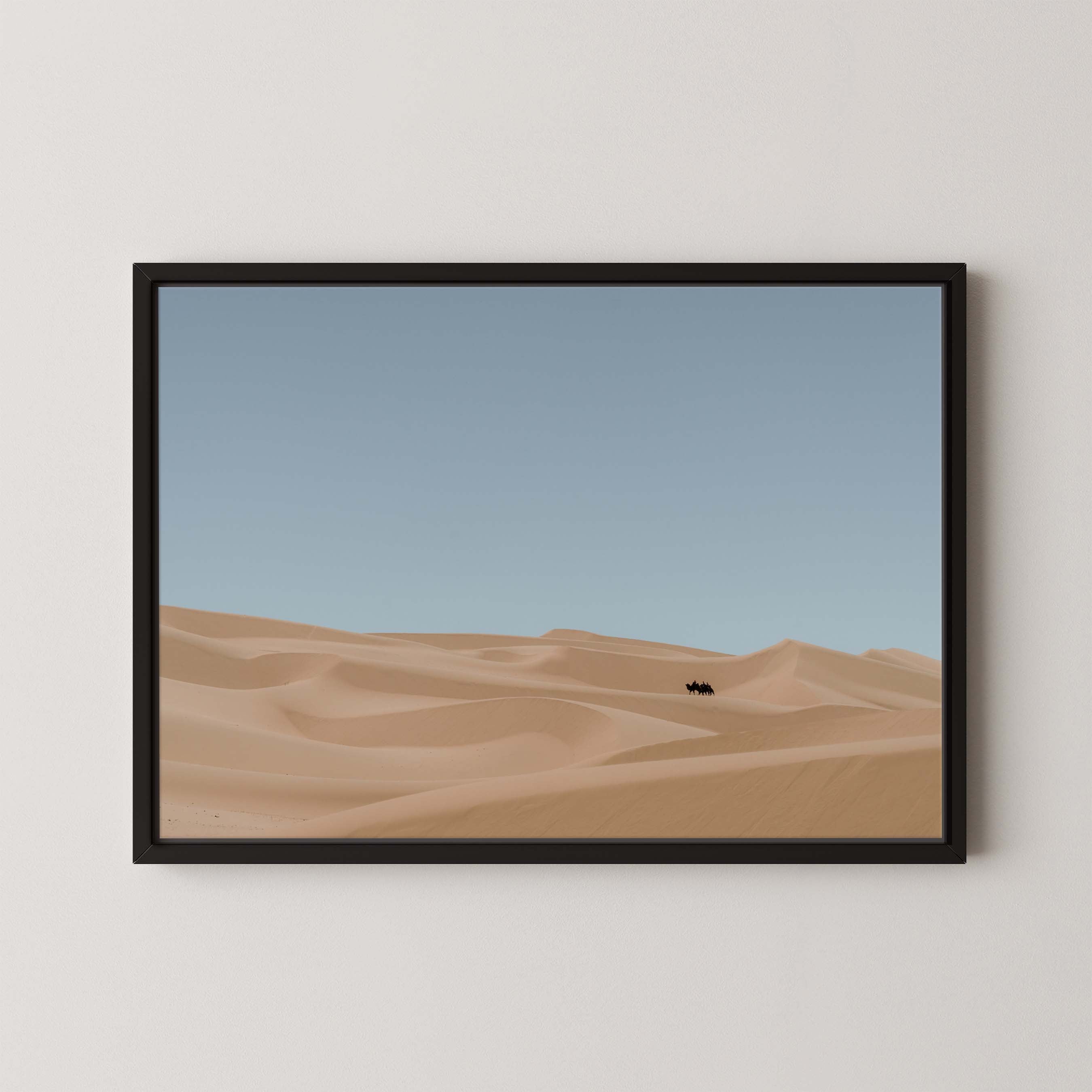 Desert Drifts